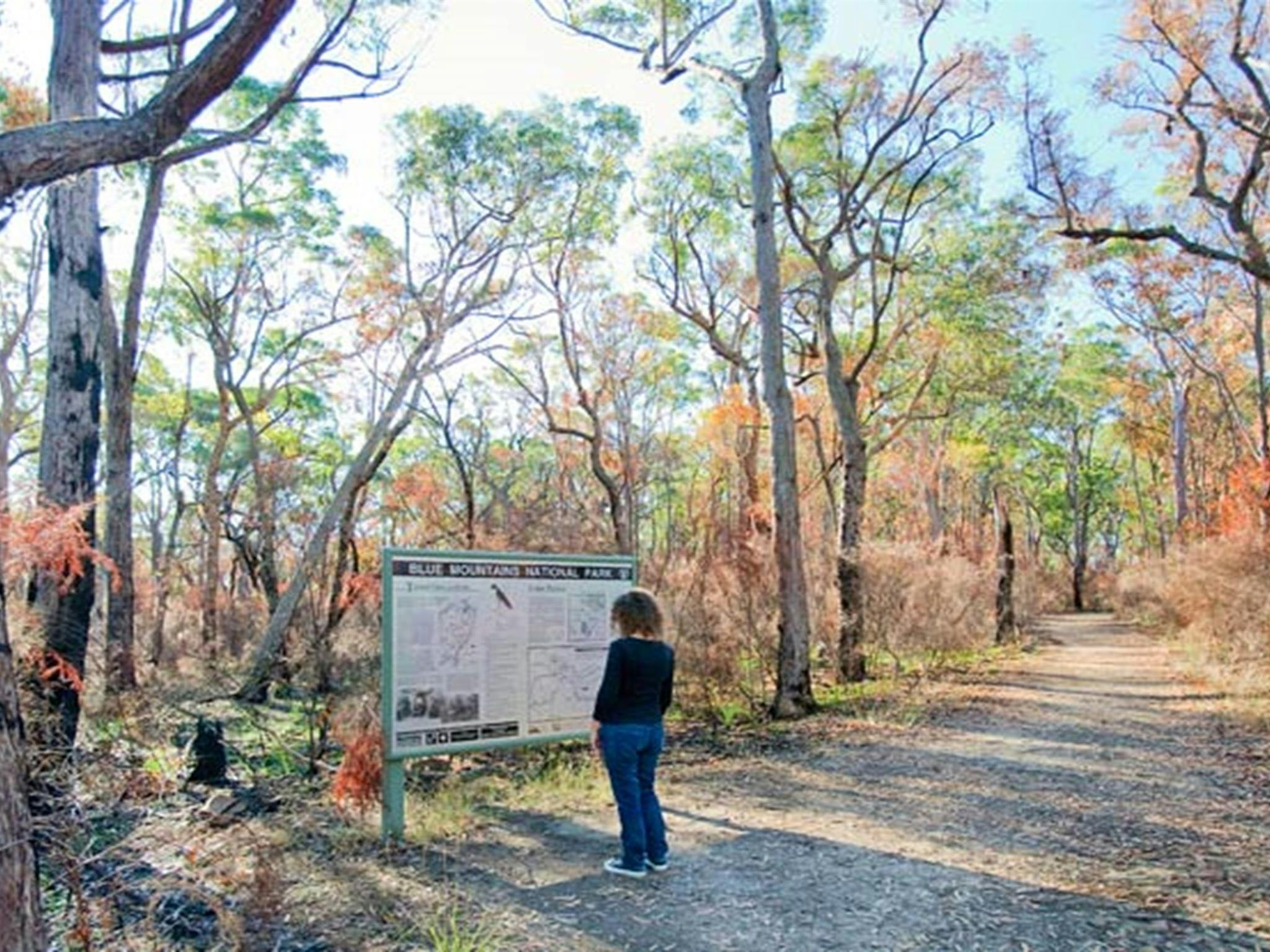 Aussichtspunkt Tunnel View