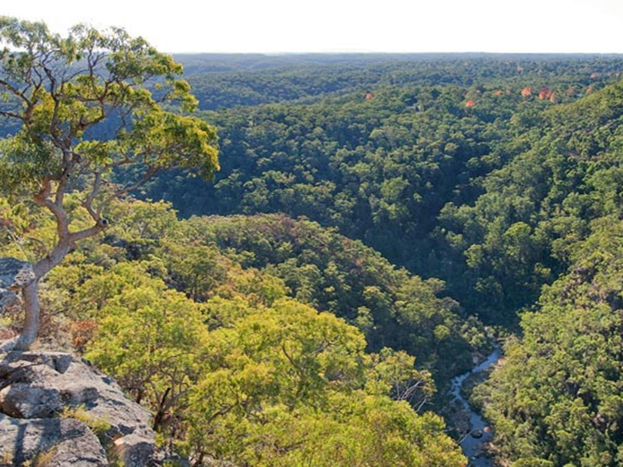 Aussichtspunkt Tunnel View, Blue Mountains Nationalpark. Foto: Nick Cubbin © OEH