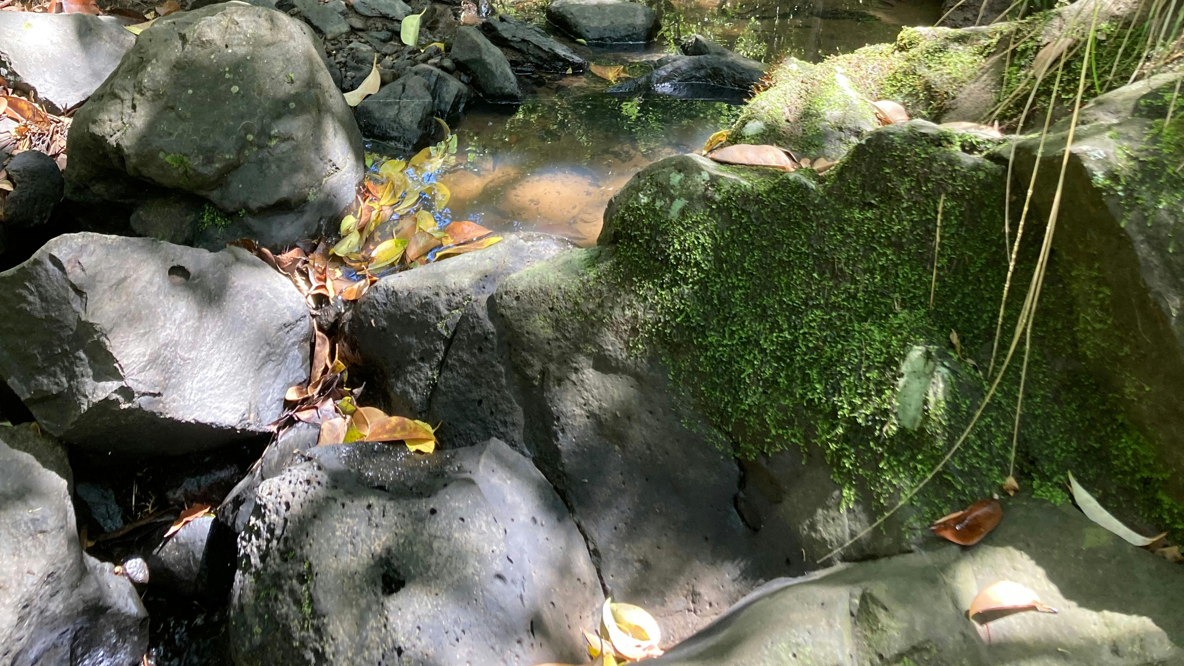 Follow a short track down to a second private little picnic area by the creek.