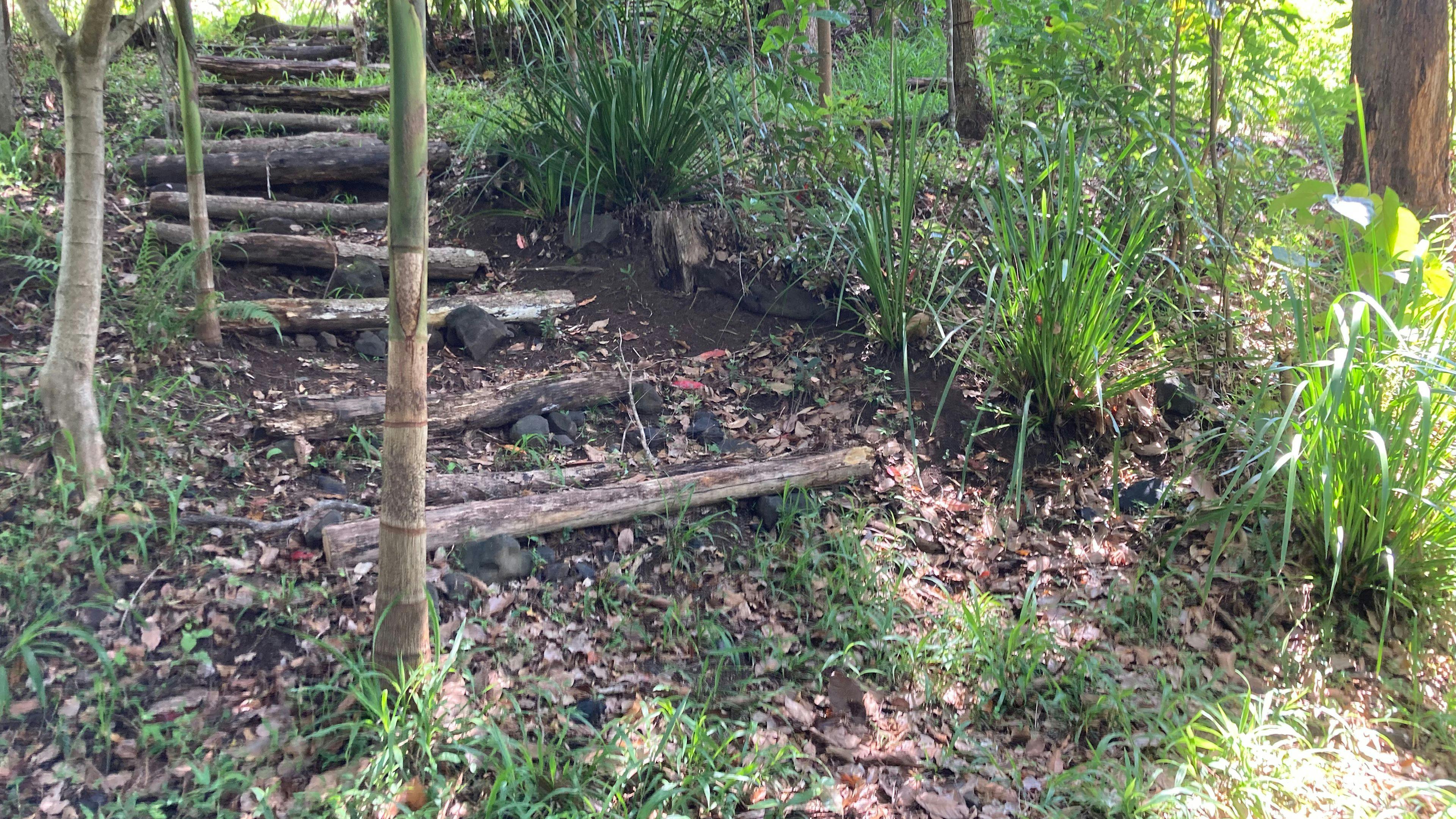 Small Creek communal shady access past Dam. Not generally swimmable but a great place to picnic, cool down and relax. 