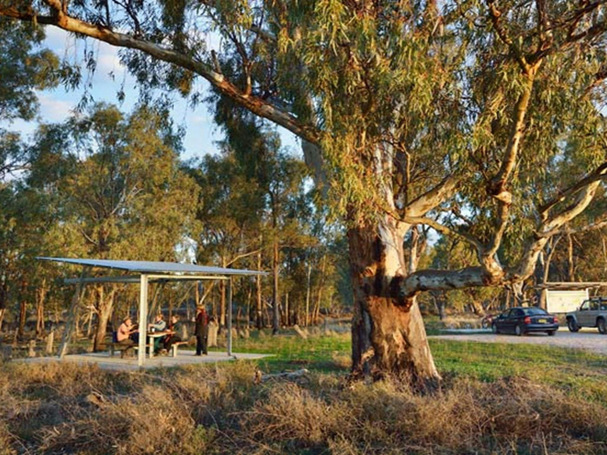 穆倫比吉河谷國家公園的土耳其平原野餐區和賞鳥屋。照片：加文·漢斯福德