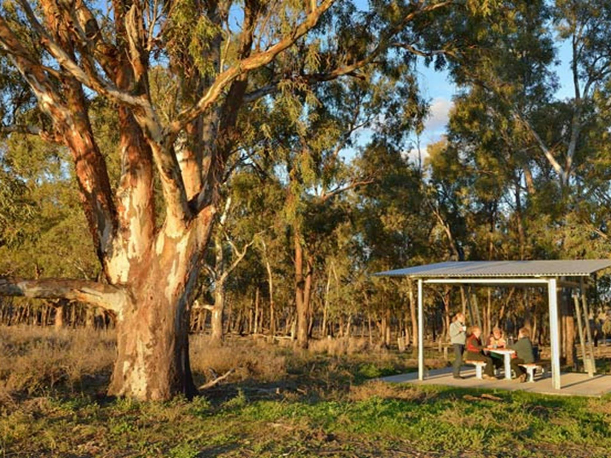 穆倫比吉河谷國家公園的土耳其平原野餐區和賞鳥屋。照片：加文·漢斯福德