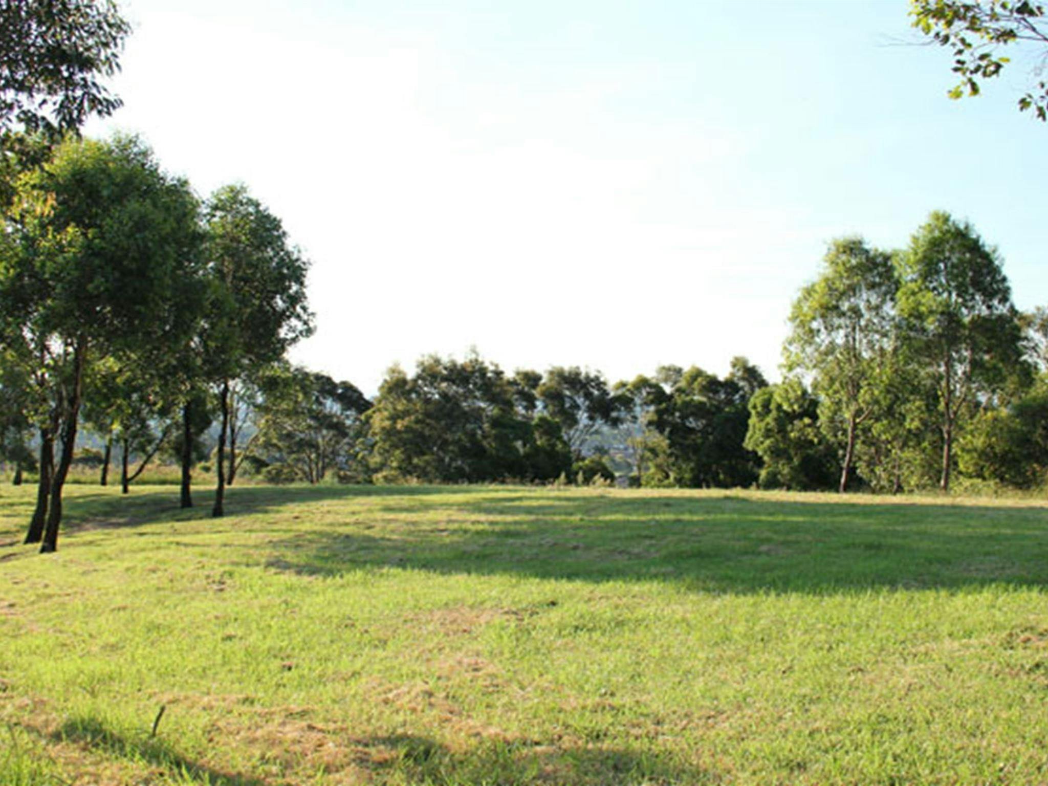 Turkey's Nest picnic area shade, William Howe Regional Park. Photo: John Yurasek &copy; OEH