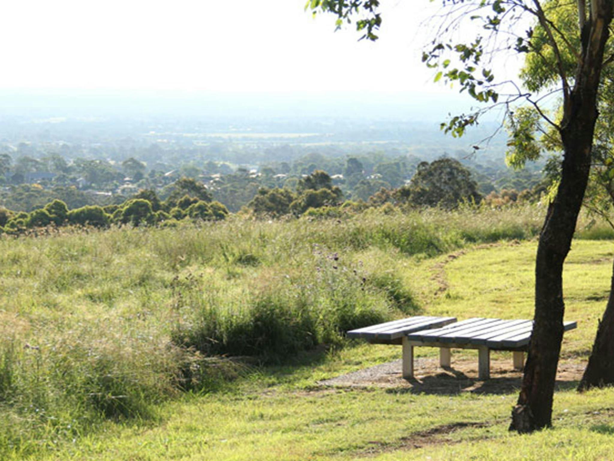 Turkey's Nest picnic benches. Photo: John Yurasek &copy; OEH