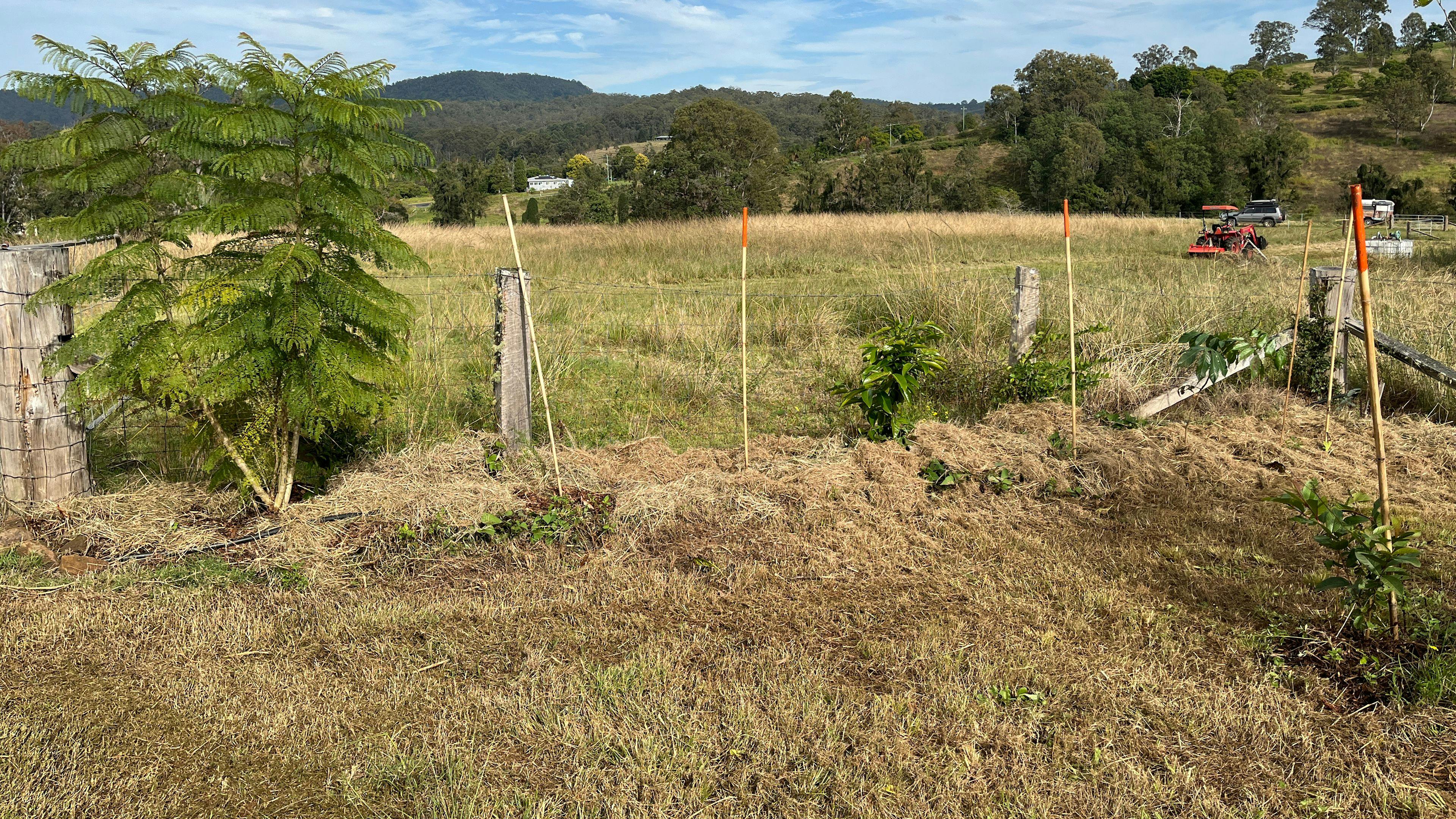 에덴 크릭 보호구역