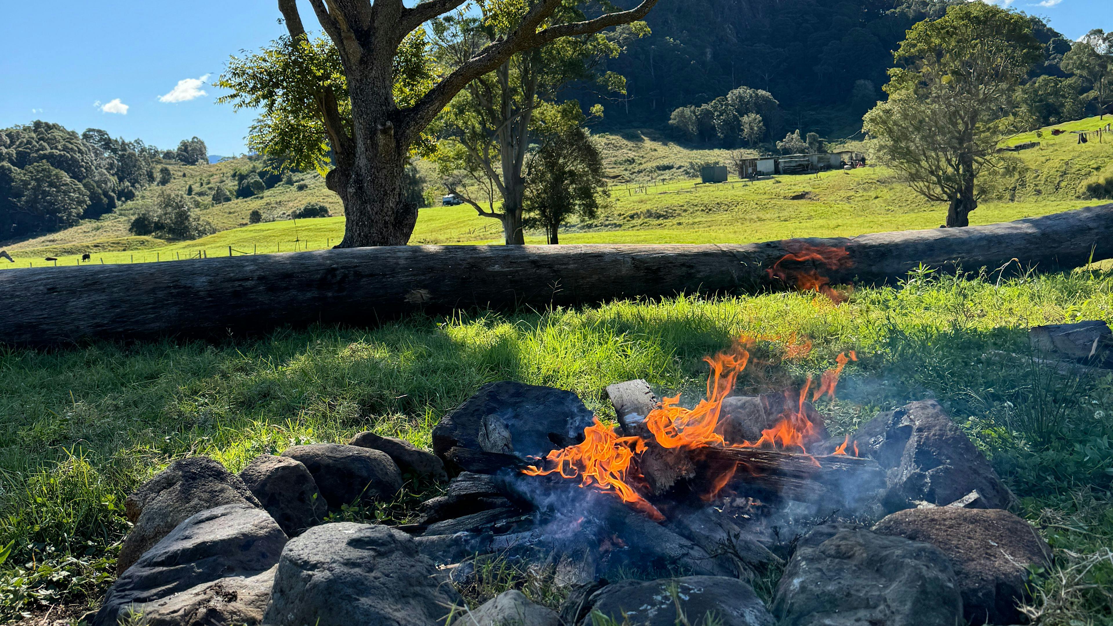 特威德谷 - 杜恩杜恩农场