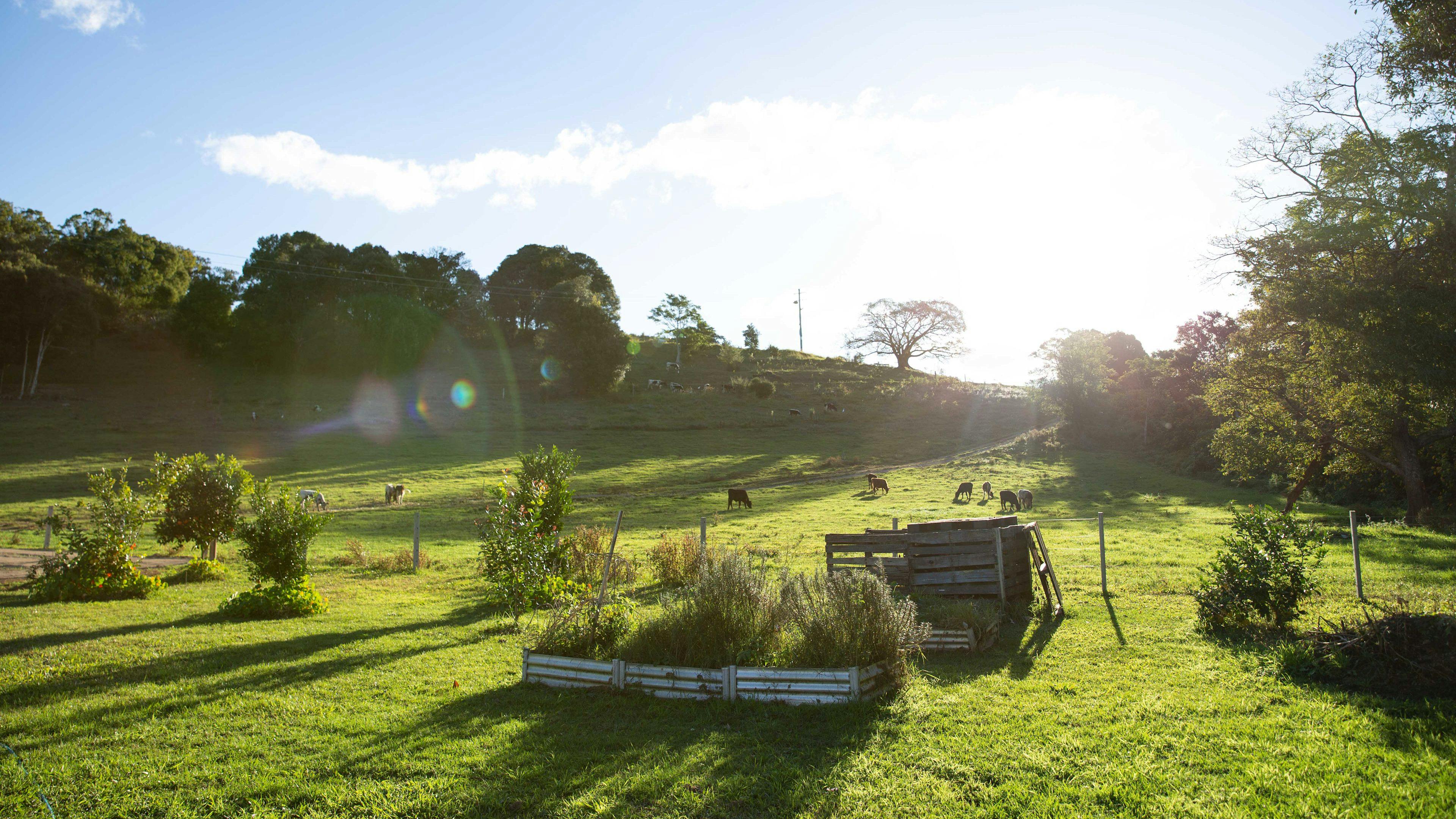 트위드 밸리 팜하우스 치즈
