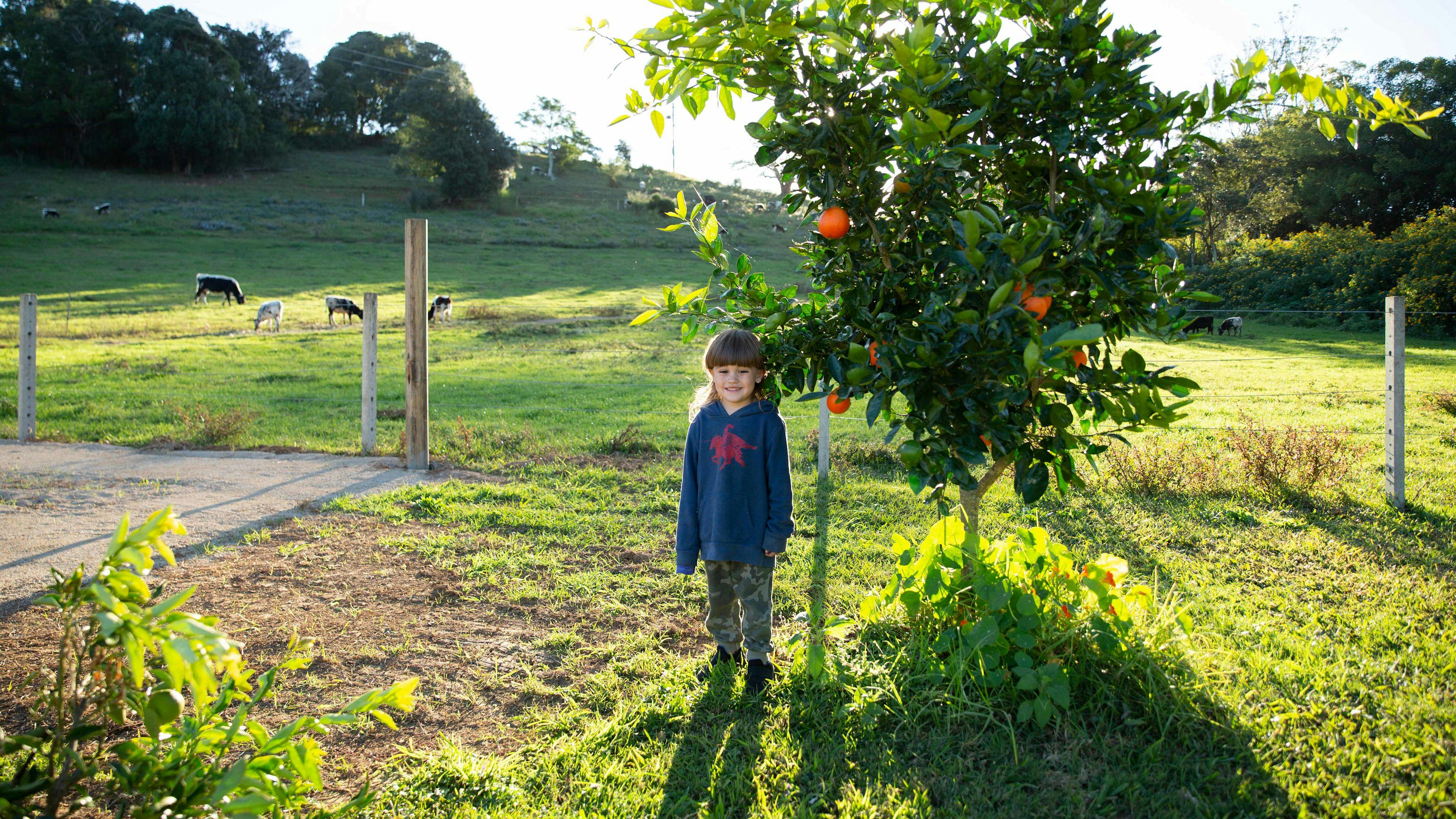 트위드 밸리 팜하우스 치즈
