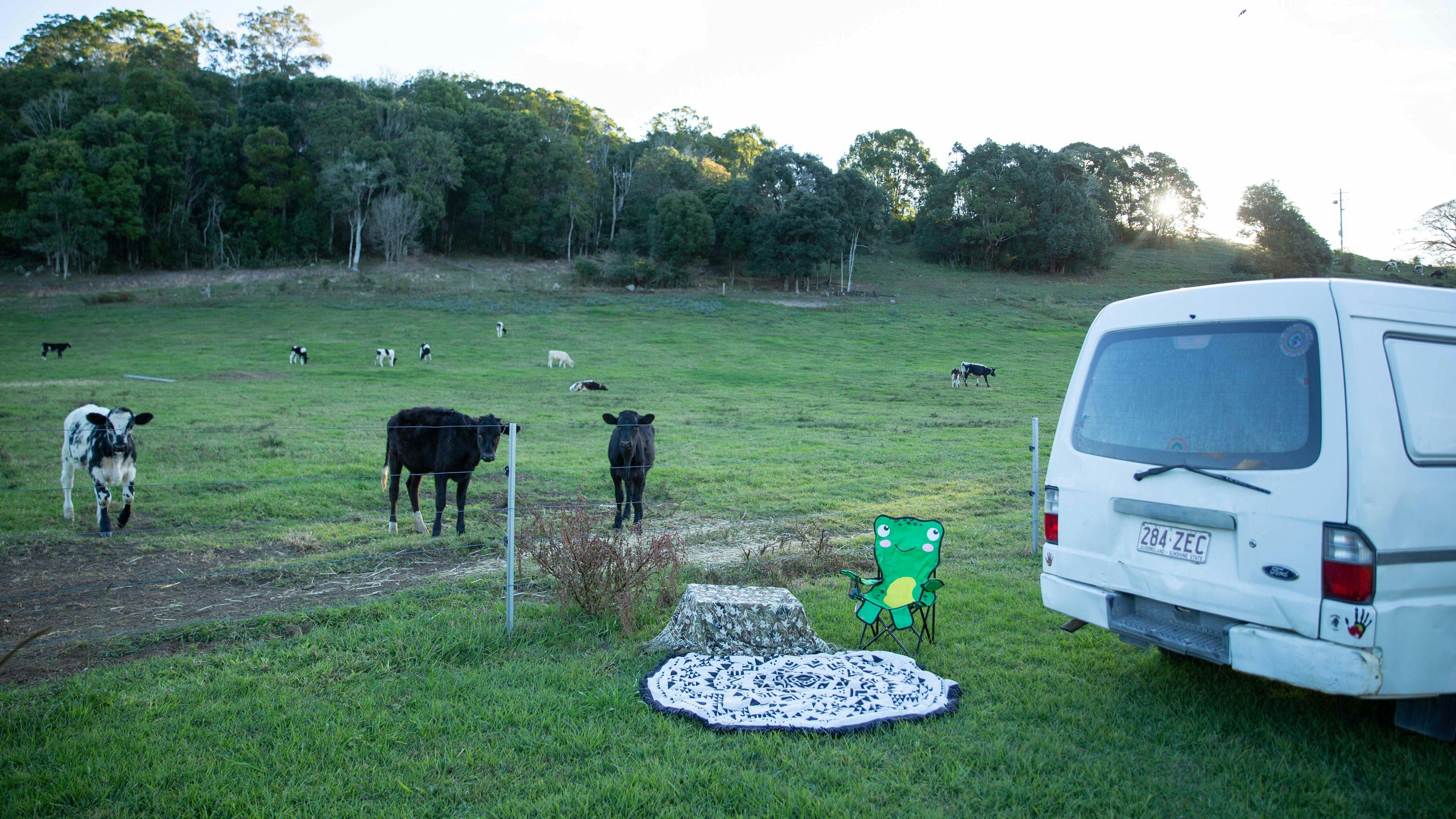 트위드 밸리 팜하우스 치즈