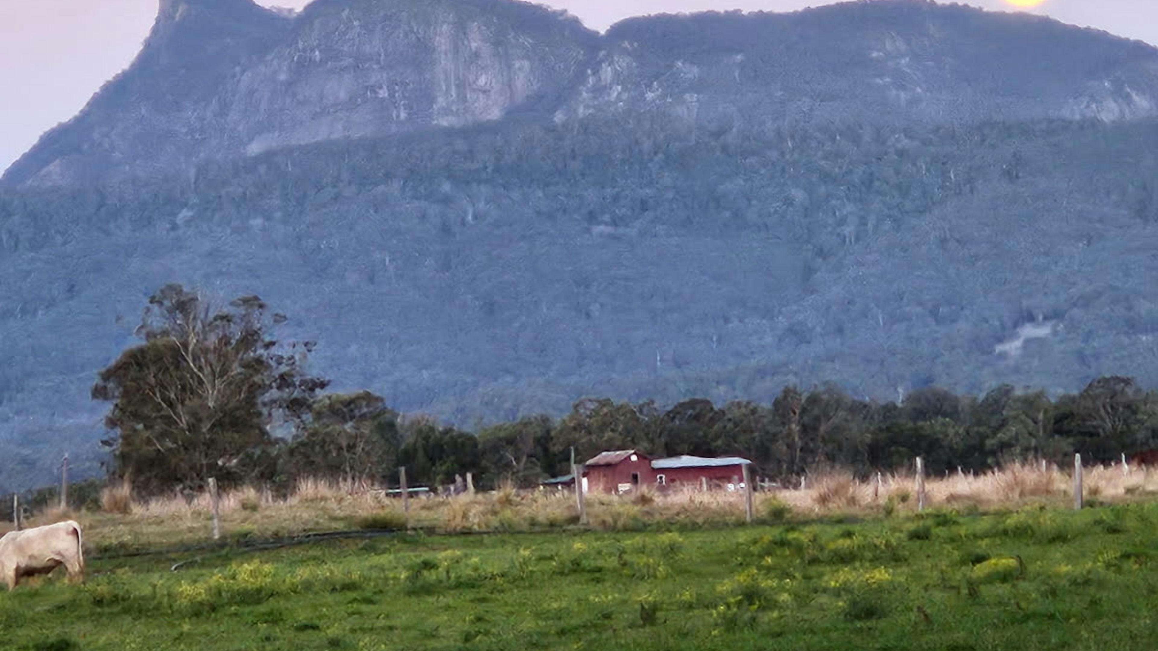 Tweed Valley Westbury Farm