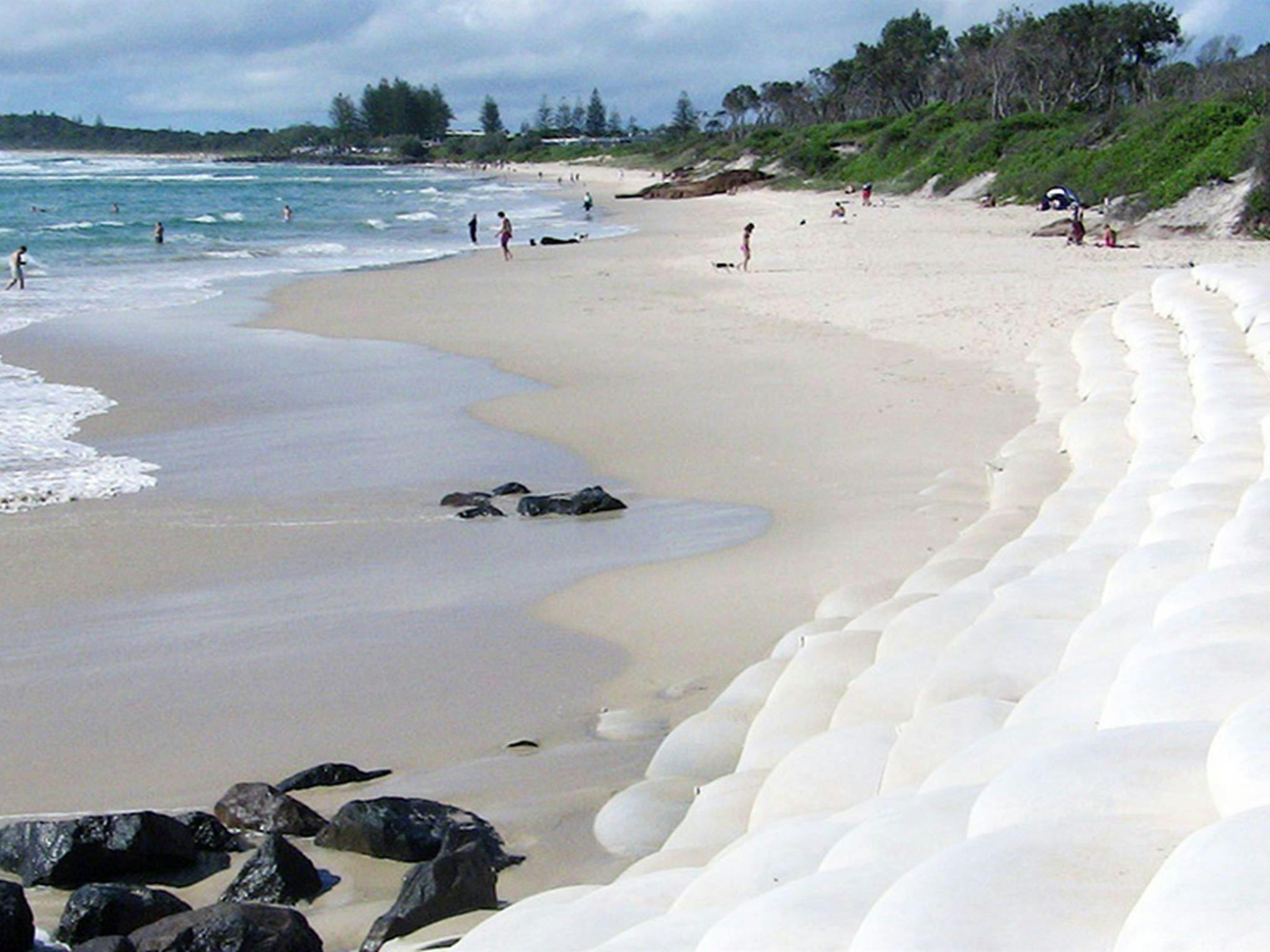 Belongil beach near Tyagarah Nature Reserve. Credit: Peter Davies/DCCEEW &copy; OEH