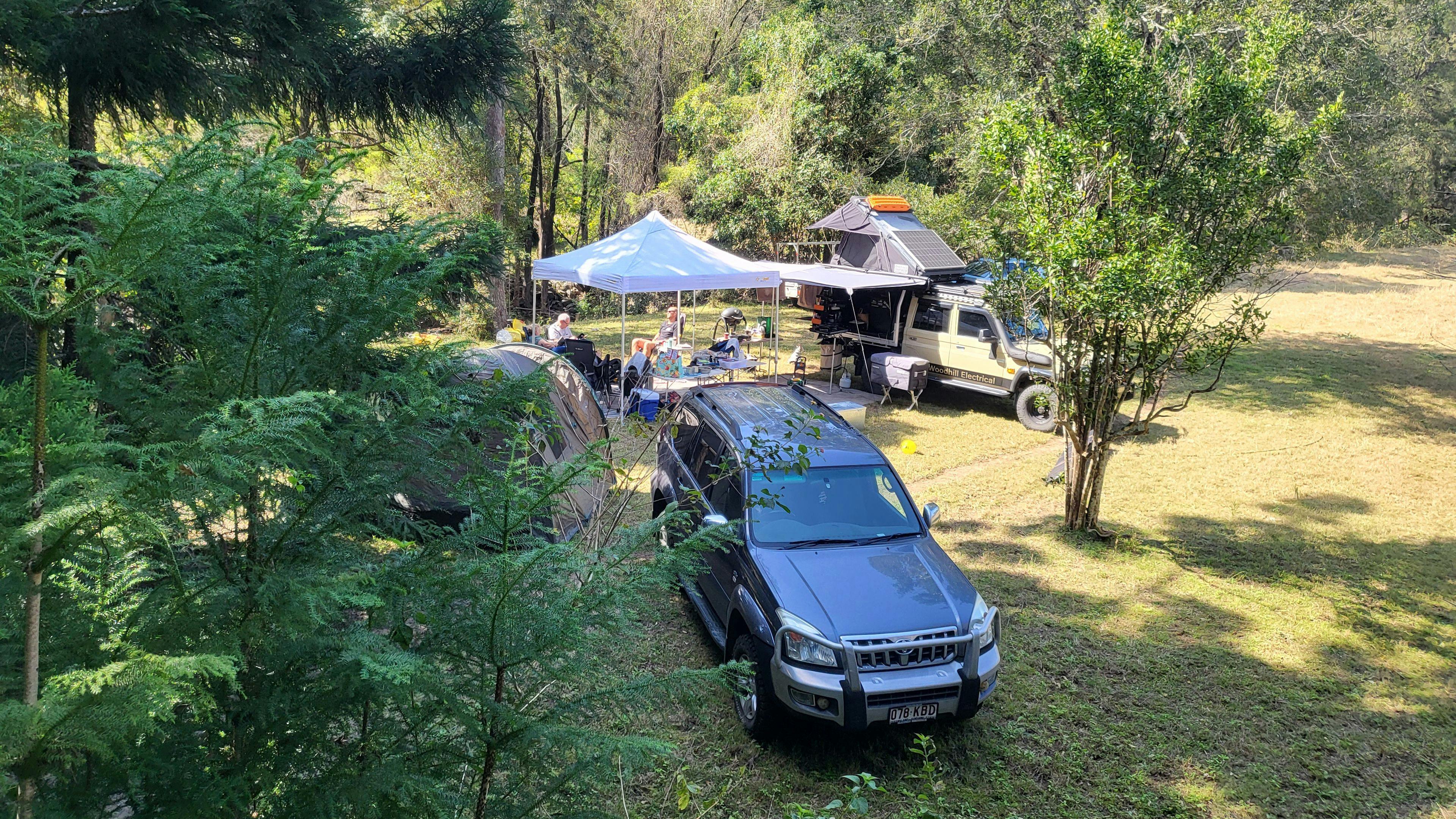 Tyungun At Ferny Glen