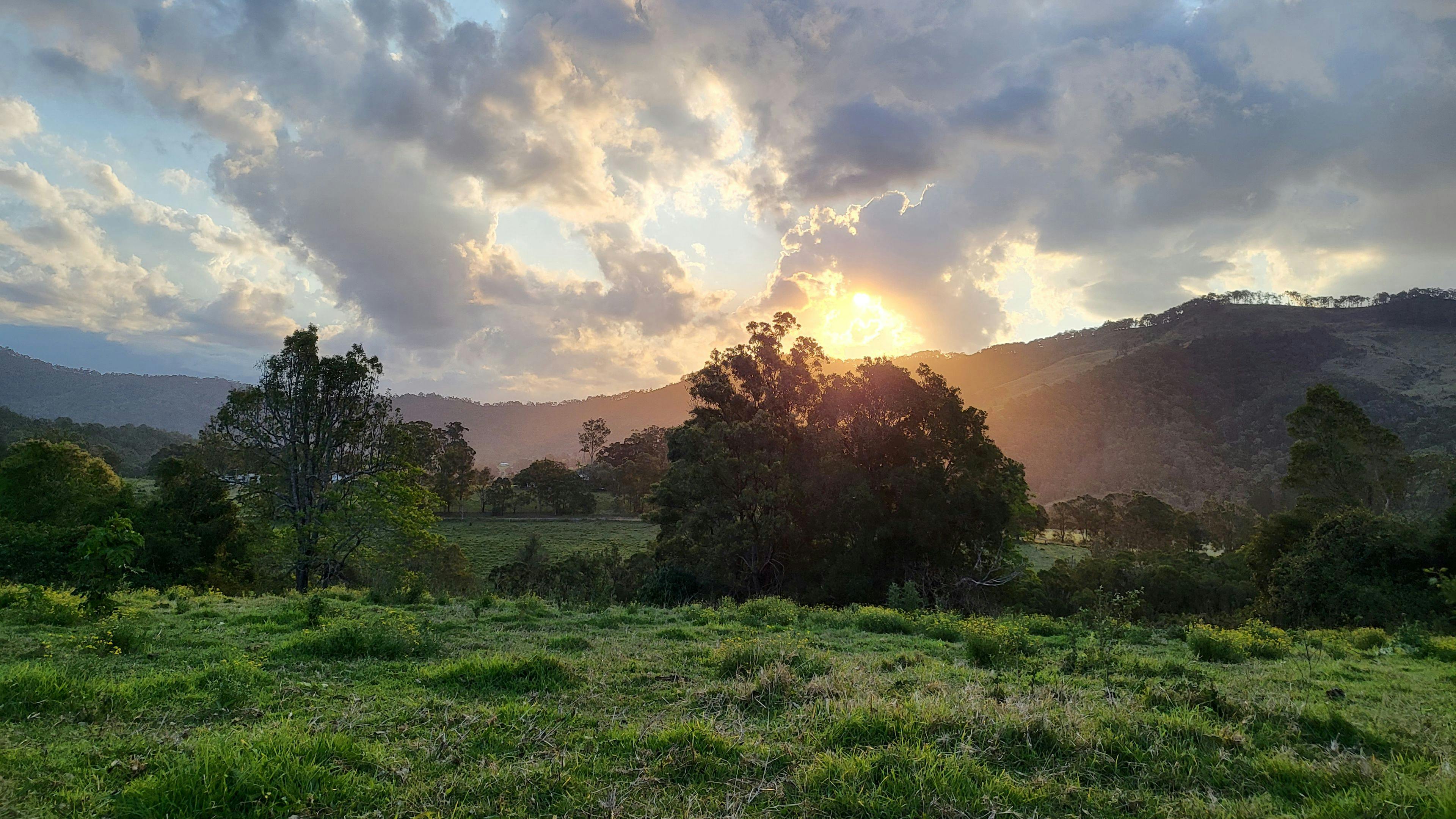 Tyungun At Ferny Glen