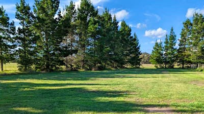 The Hobby Sheep Farm