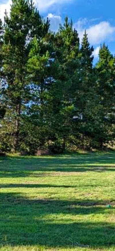 The Hobby Sheep Farm