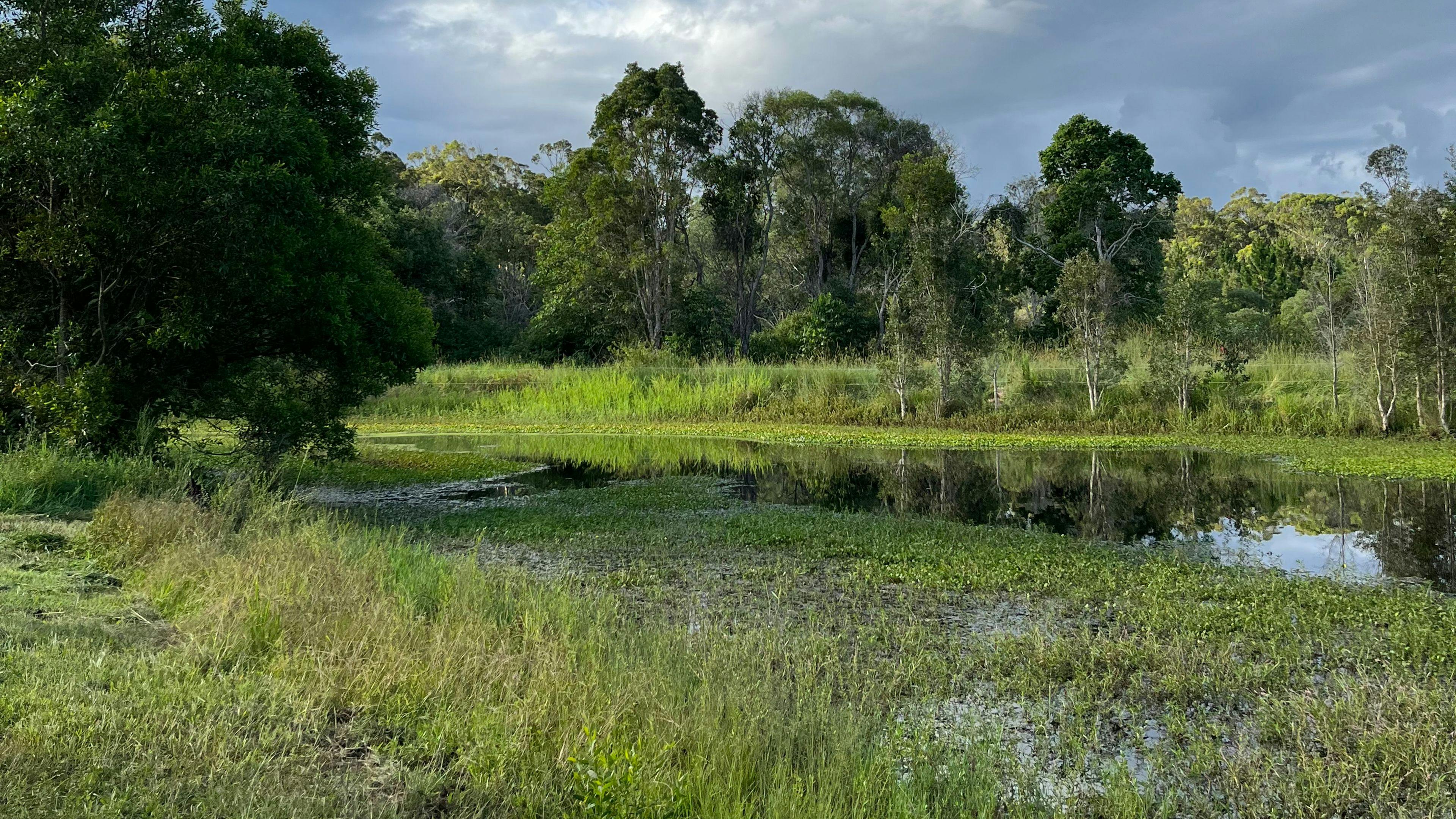 Clyde’s Forest Farm Adventure