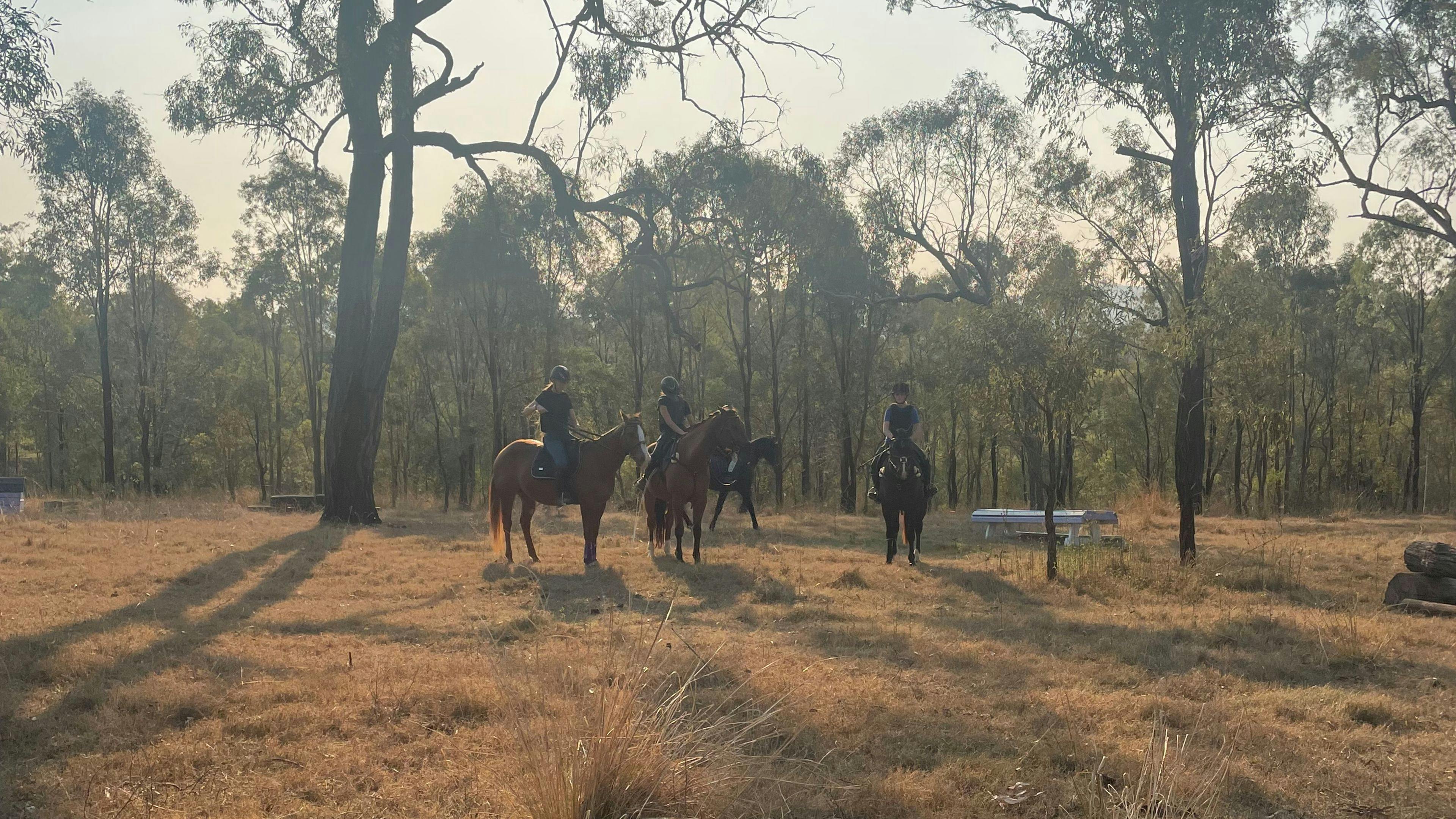 Camping With Your Horse