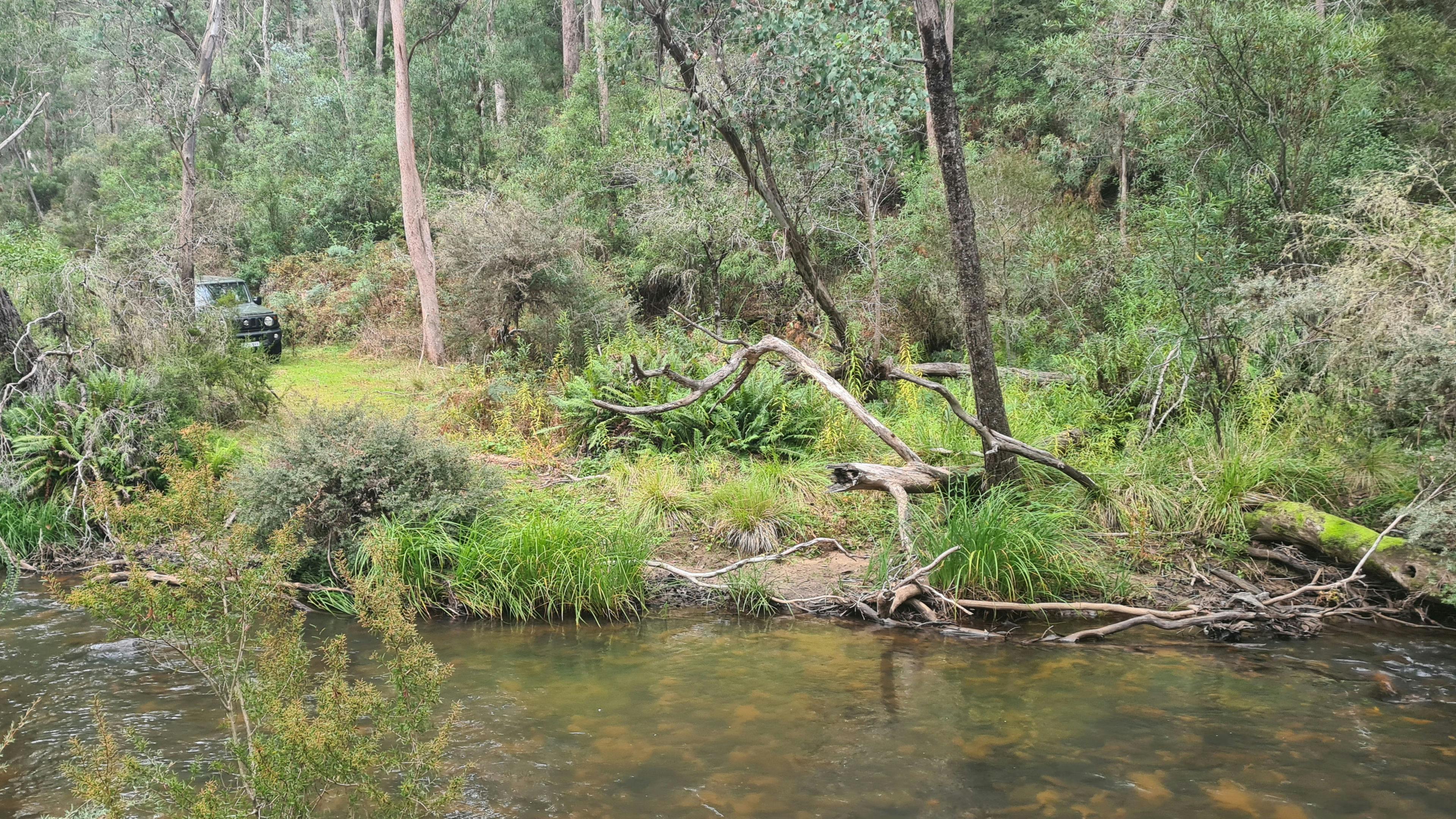 Image for Micalong Gorge