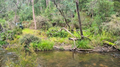 Beautiful natural Micalong creek.