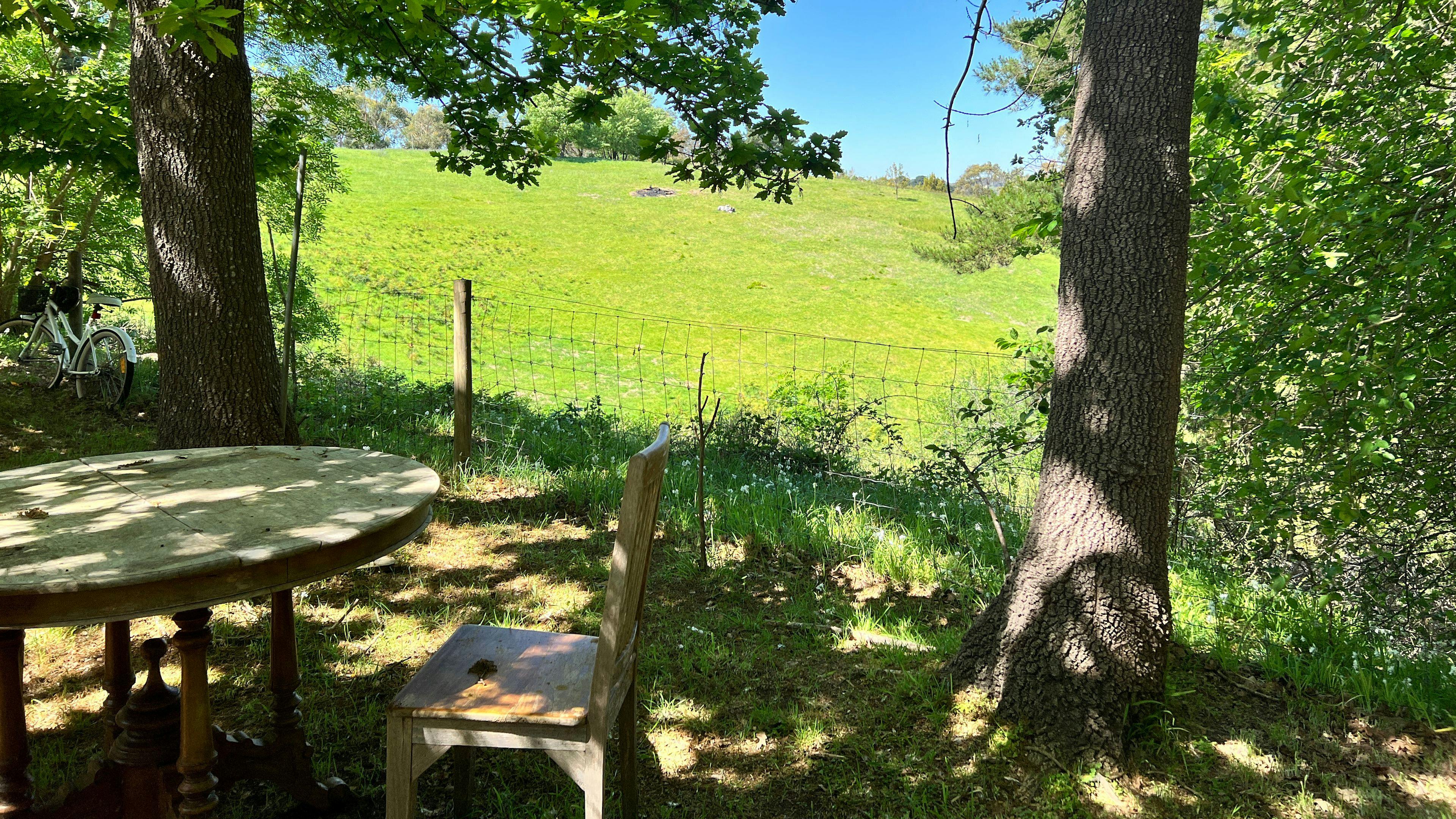 The Little Hippie Hideout