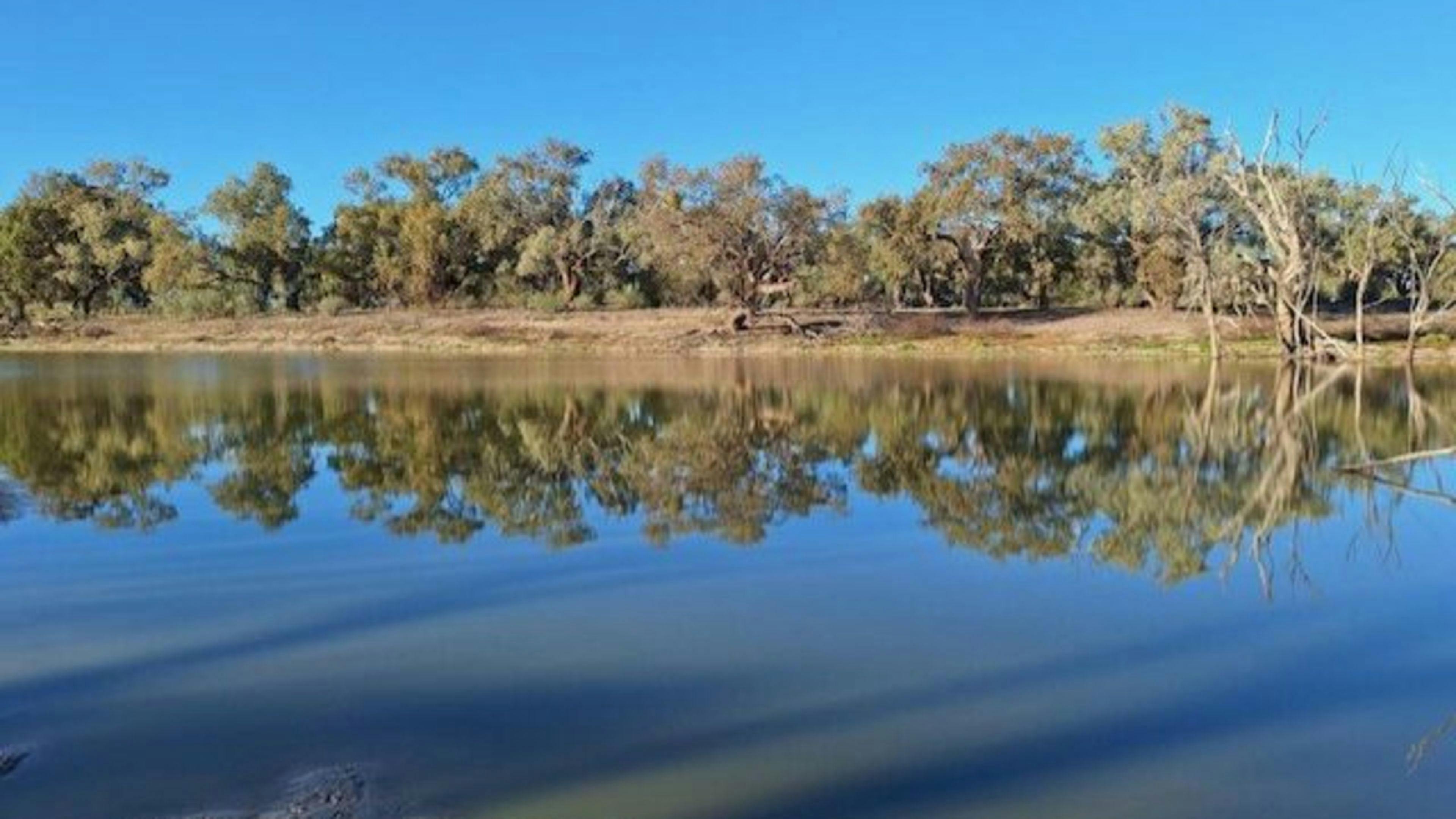 Warrawong On The Darling