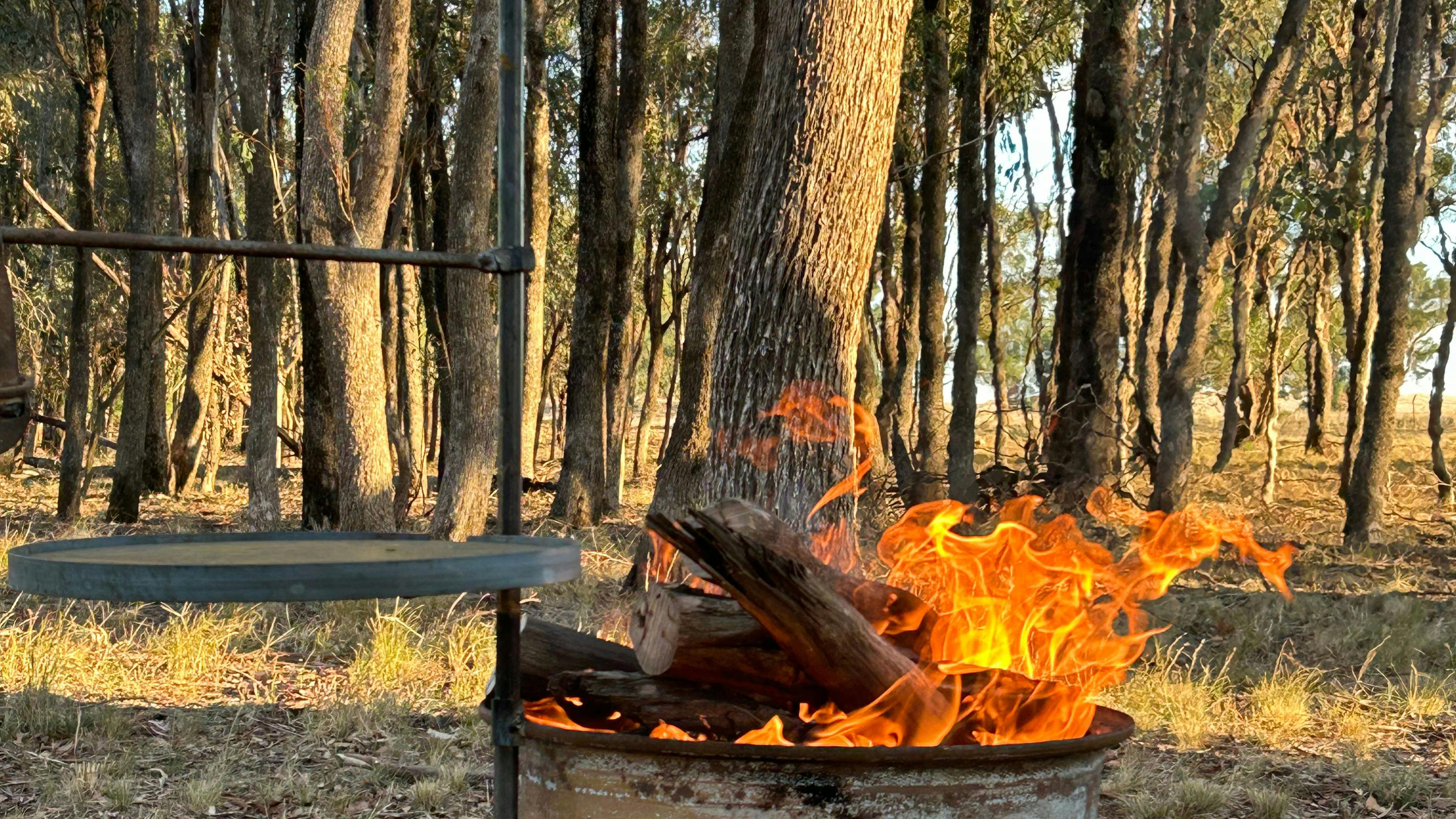 Fire pits with BBQ plates now in place! 