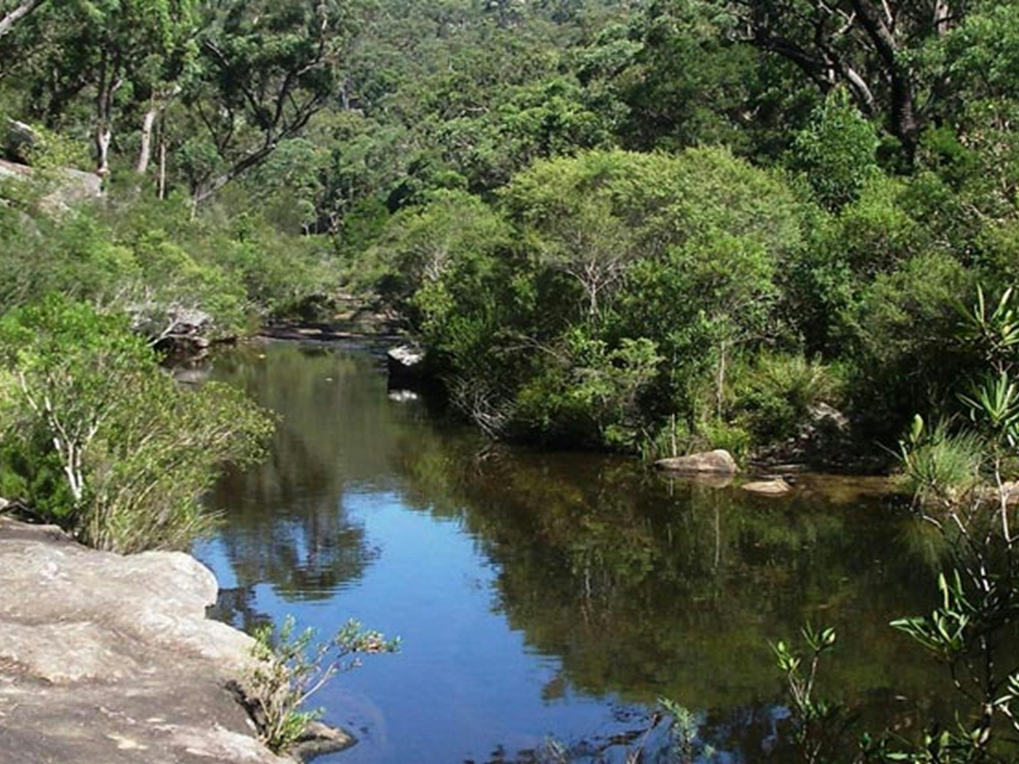 Uloola Falls campground pool, Royal National Park. Photo: Andy Richards/NSW Government
