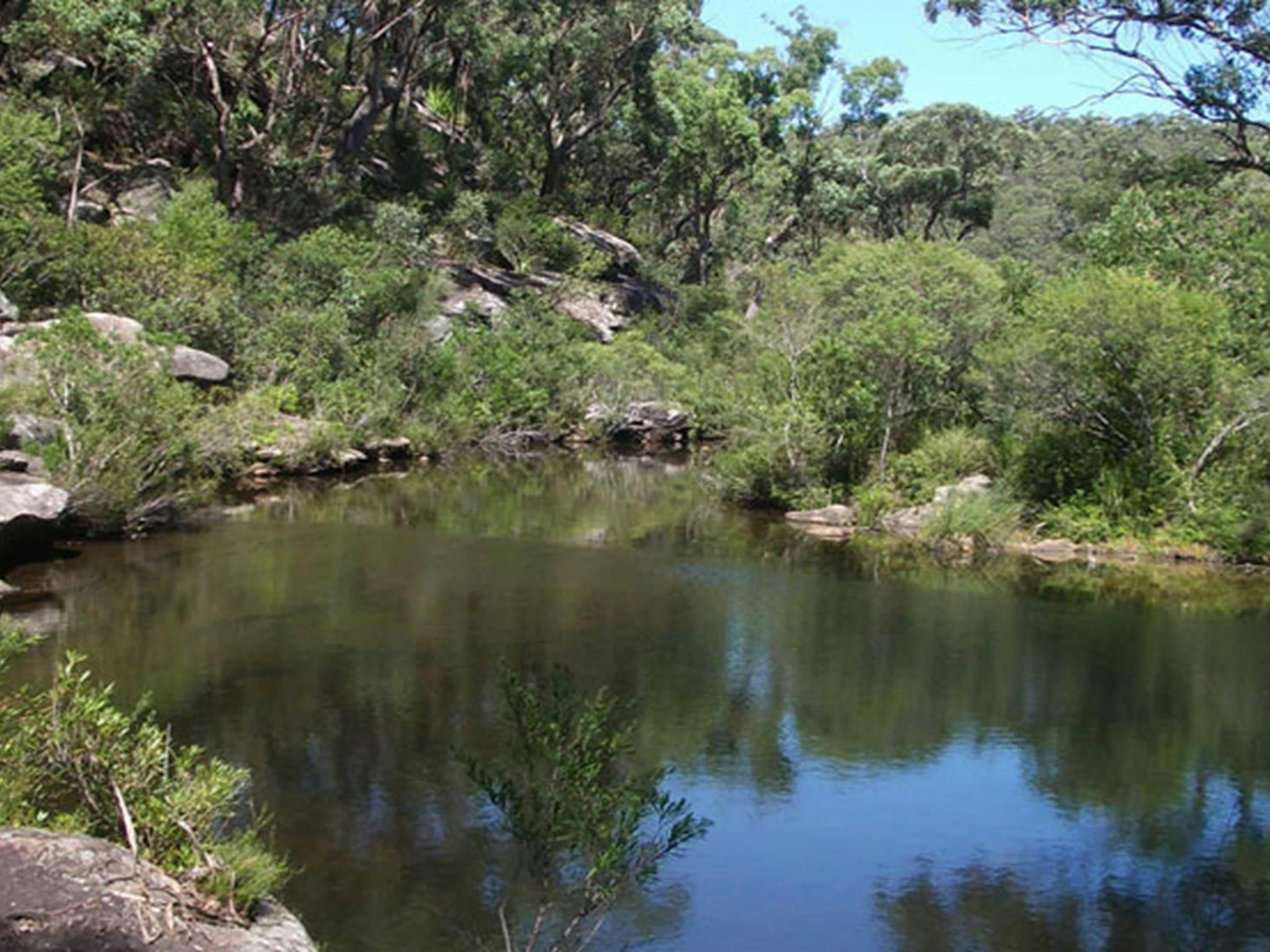 Uloola Falls campground open water, Royal National Park. Photo: Andy Richards/NSW Government