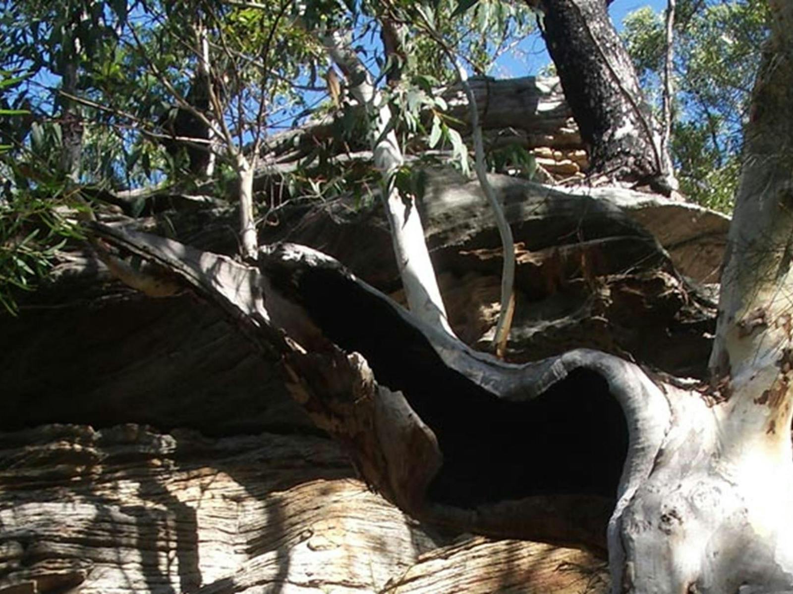 울룰라 폭포(Uloola Falls) 캠프장 암면 로얄 국립공원(Royal National Park). 사진: Andy Richards/NSW 정부