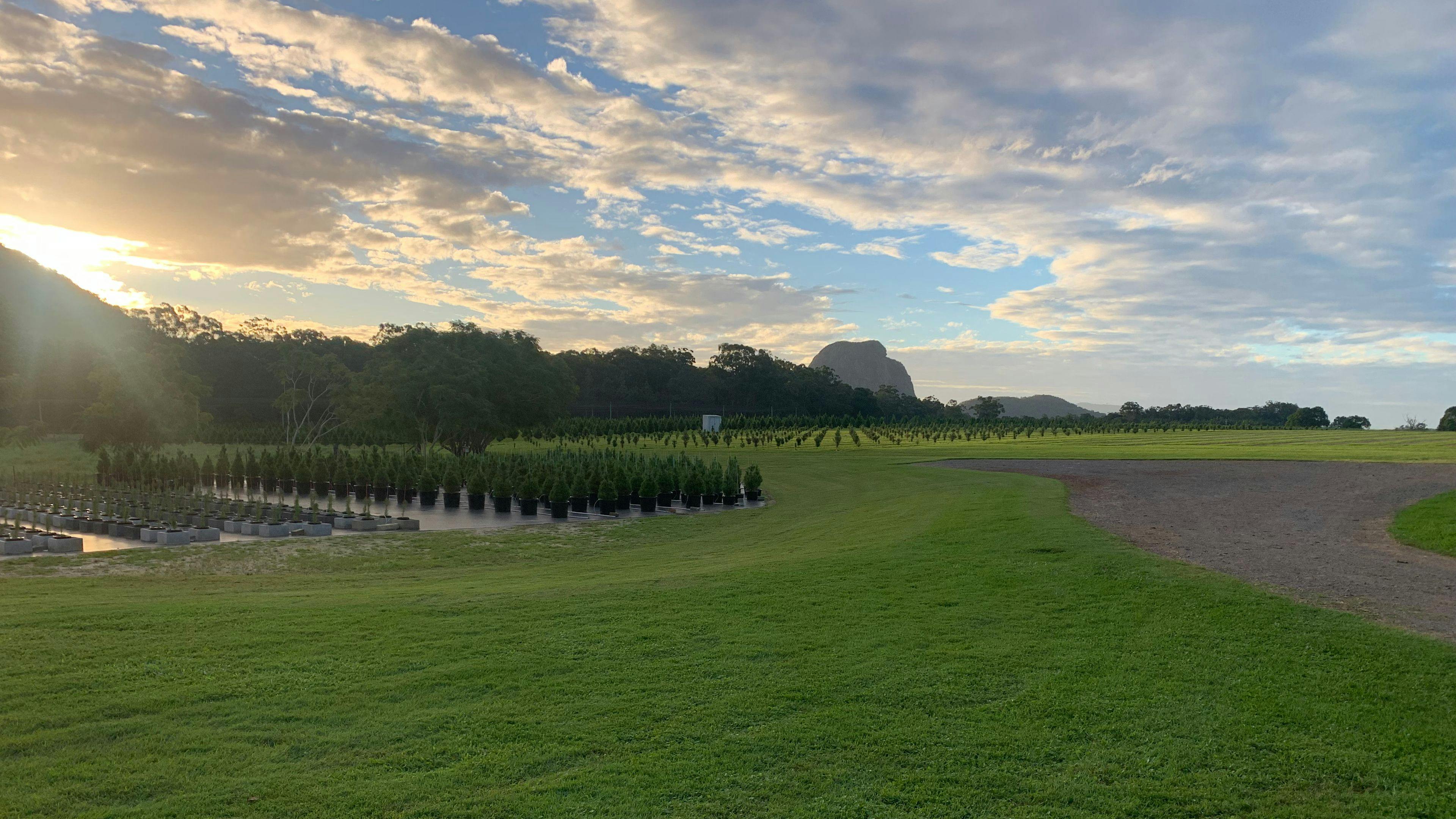 Mountain Country Farm Stay