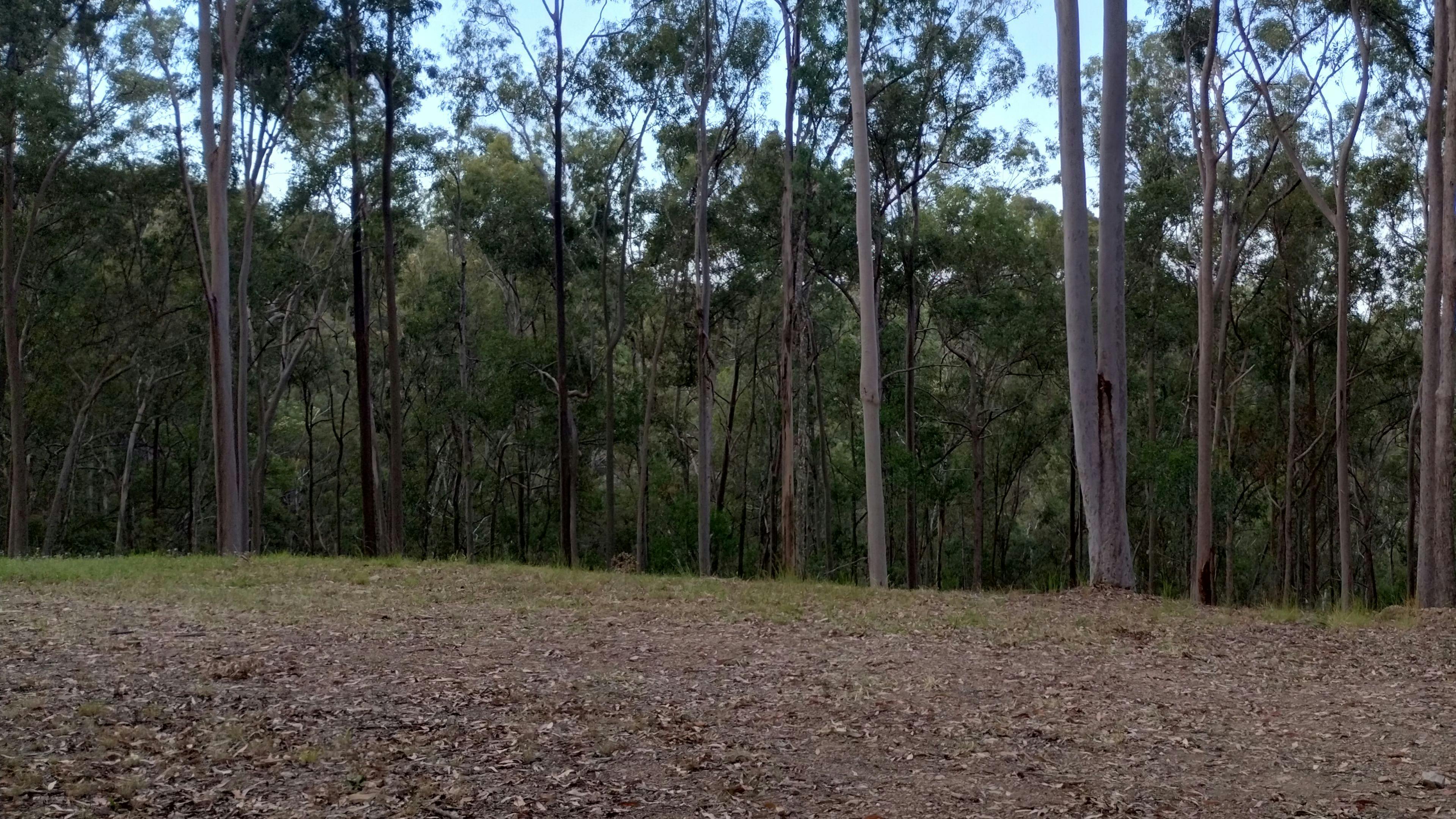 UniqueVibe Bush Camp