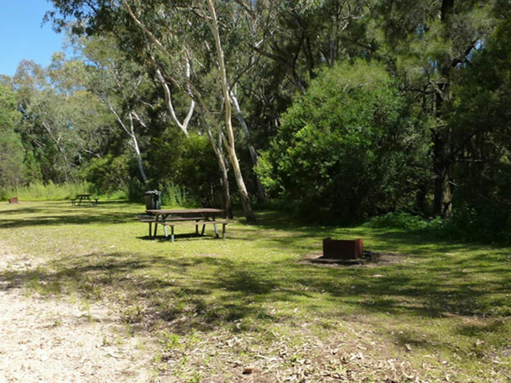 Upper Bullawa Creek picnic area, Mount Kaputar National Park. Photo: Boris Hlavica &copy; OEH