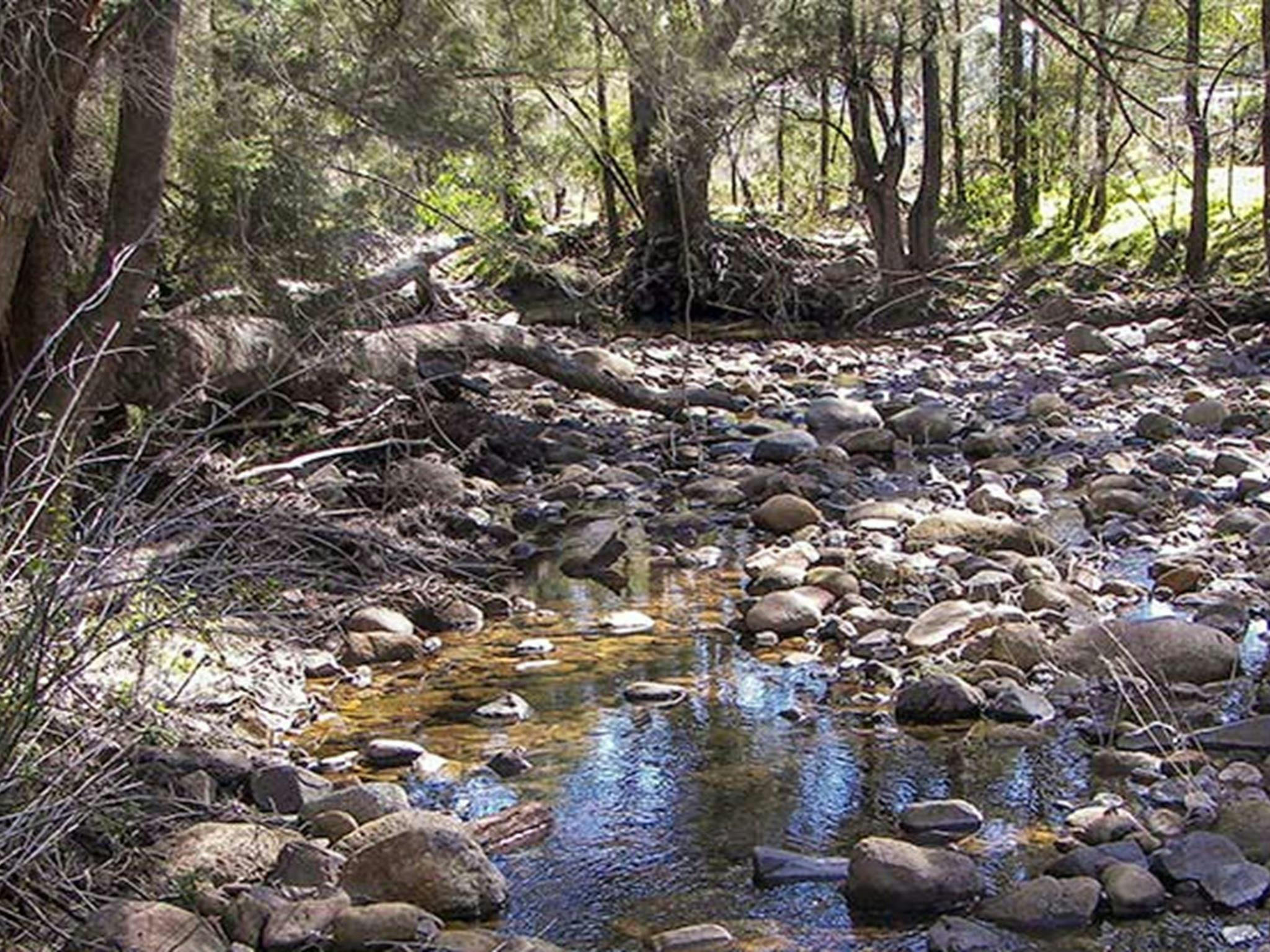 Upper Bullawa Creek picnic area, Mount Kaputar National Park. Photo: Boris Hlavica &copy; OEH