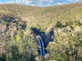 View of Horton Falls surrounded by bushland, in Horton Falls National Park.  Photo: Lauren Sparrow