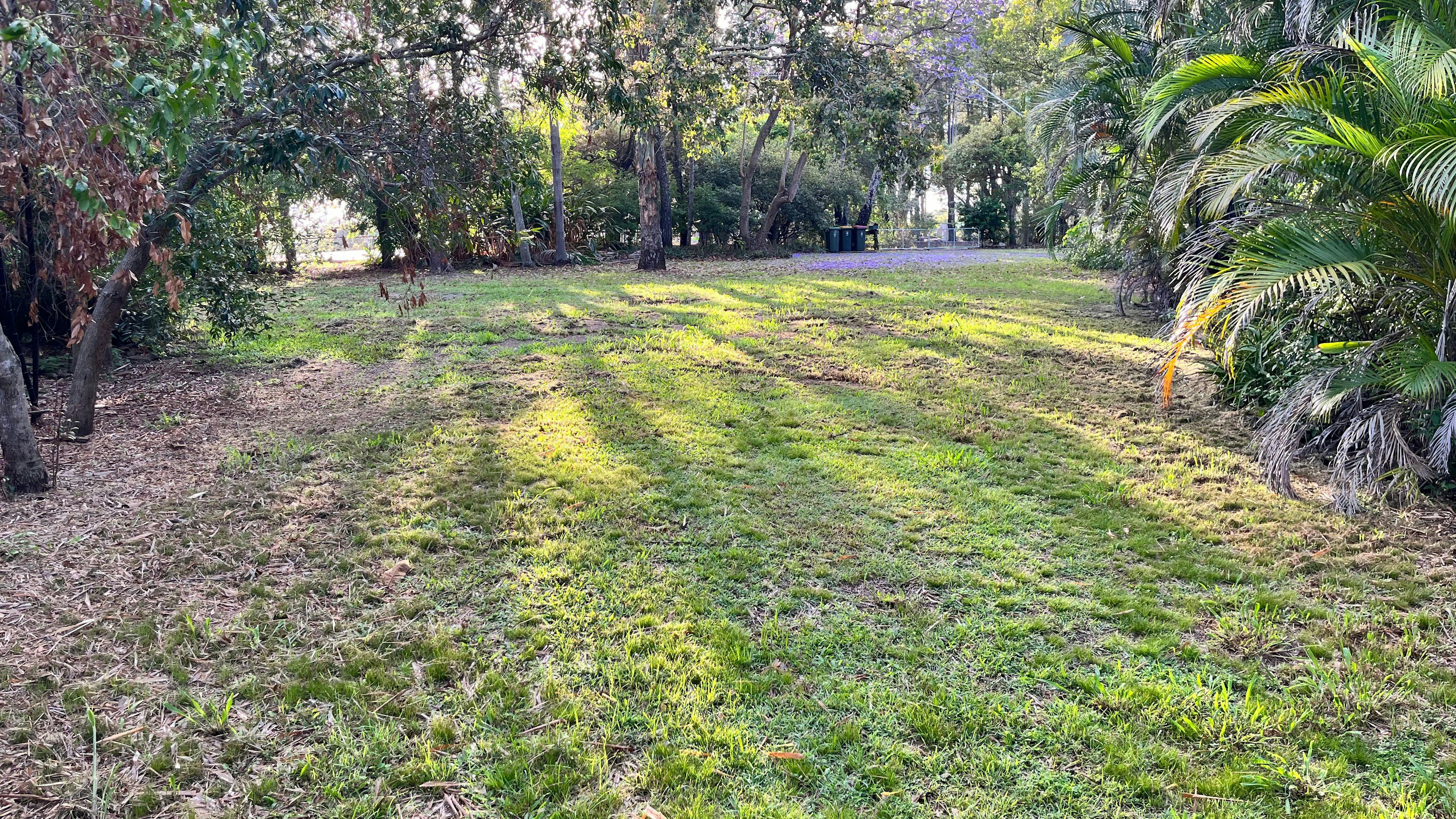 Urban Oasis in Brisbane