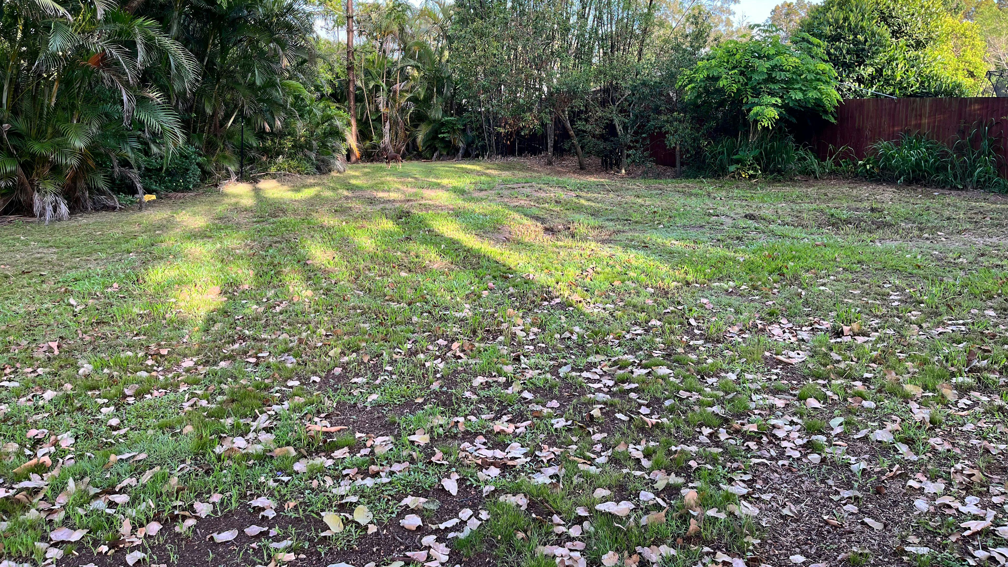 Urban Oasis in Brisbane