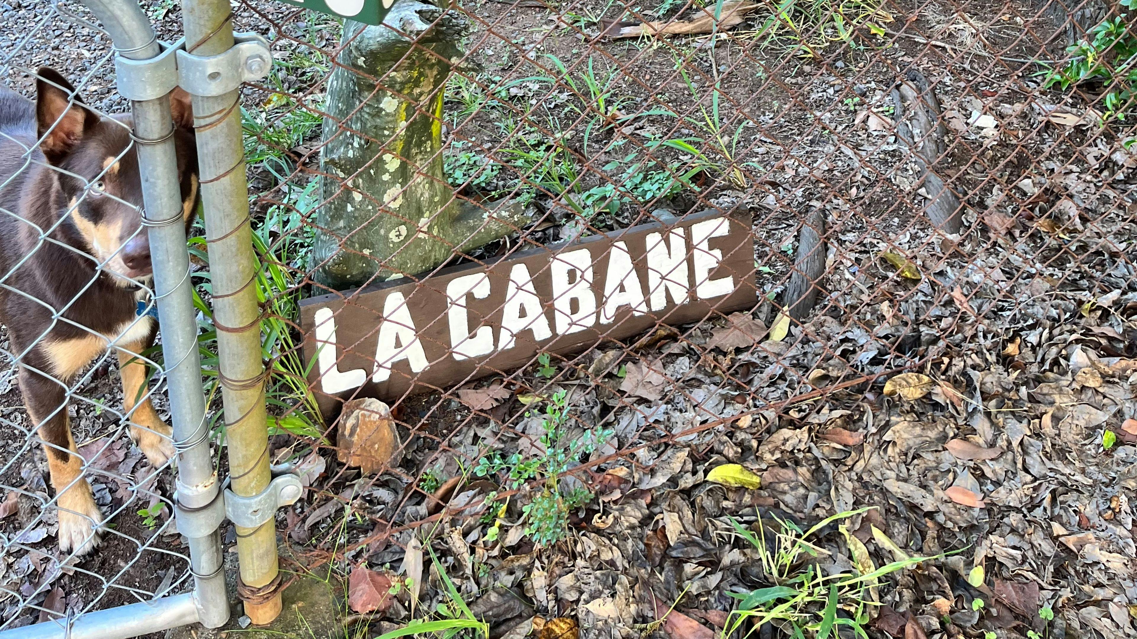 Urban Oasis in Brisbane