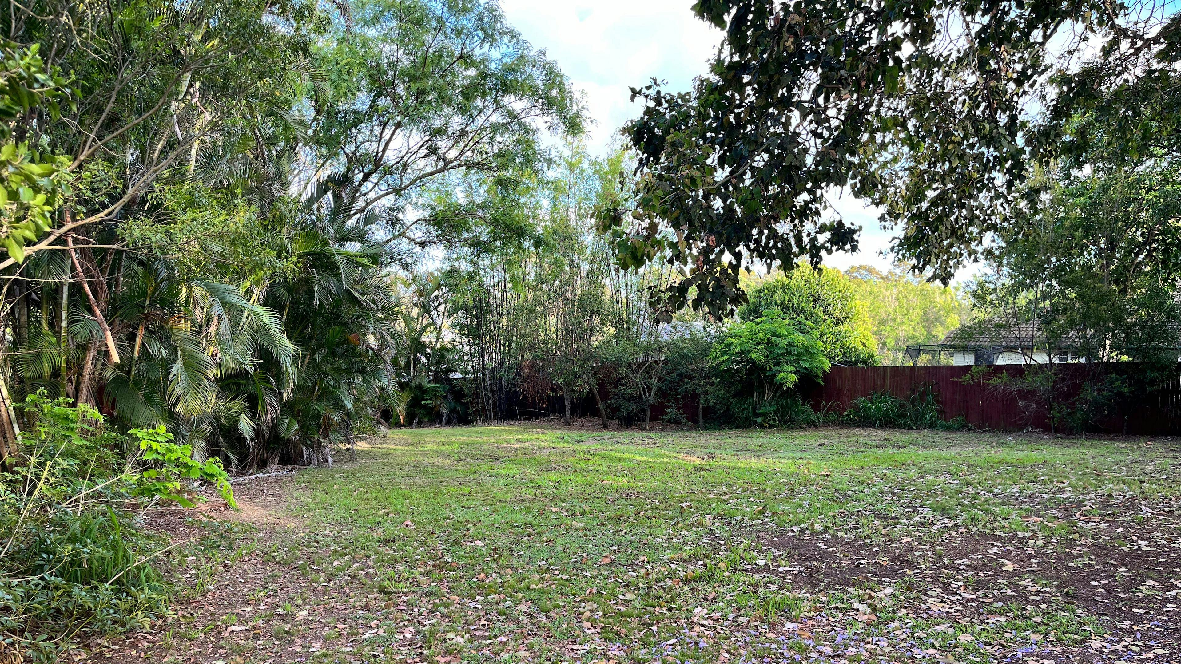 Urban Oasis in Brisbane