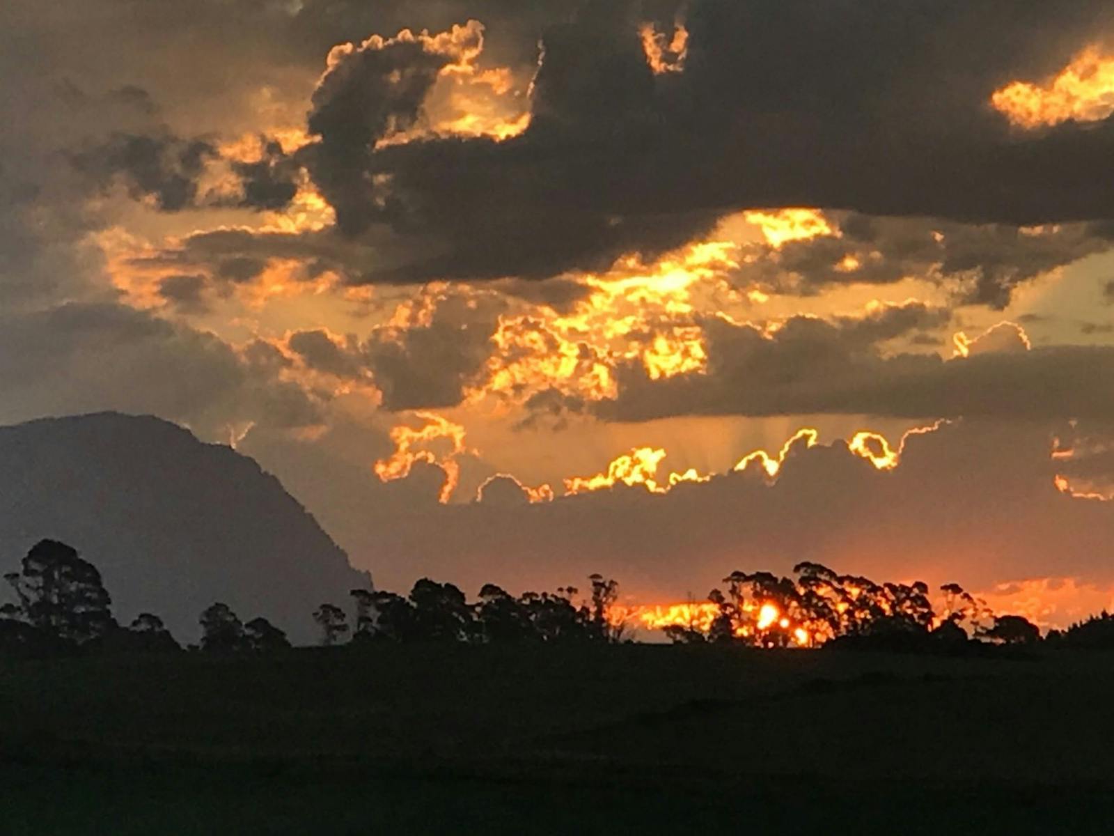 Sunridge Valley Views