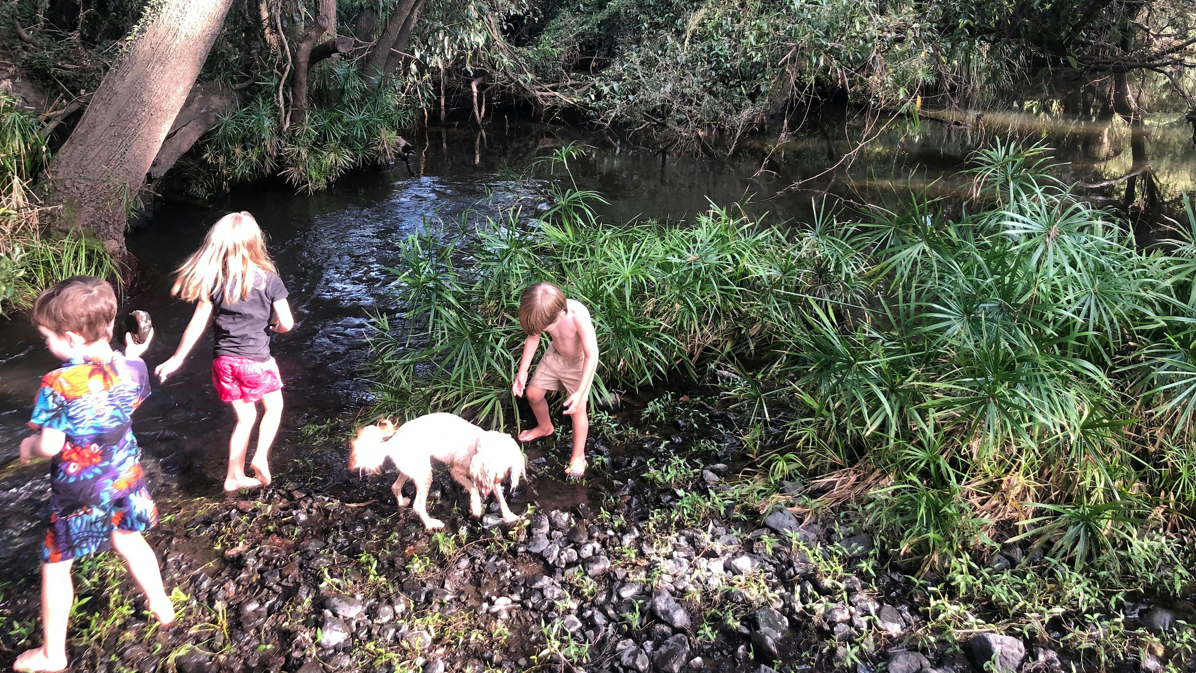 Creekside Camping and Golf