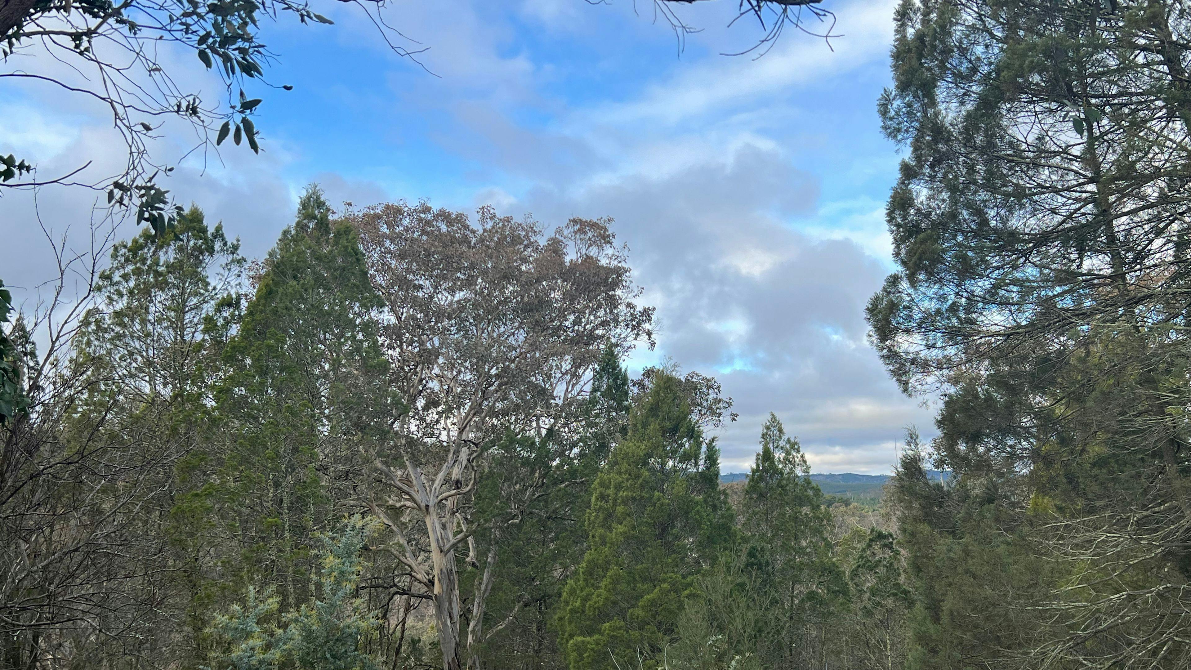 Bush Rest for Canberra Adventure