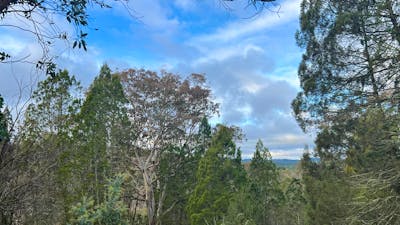 Bush Rest for Canberra Adventure