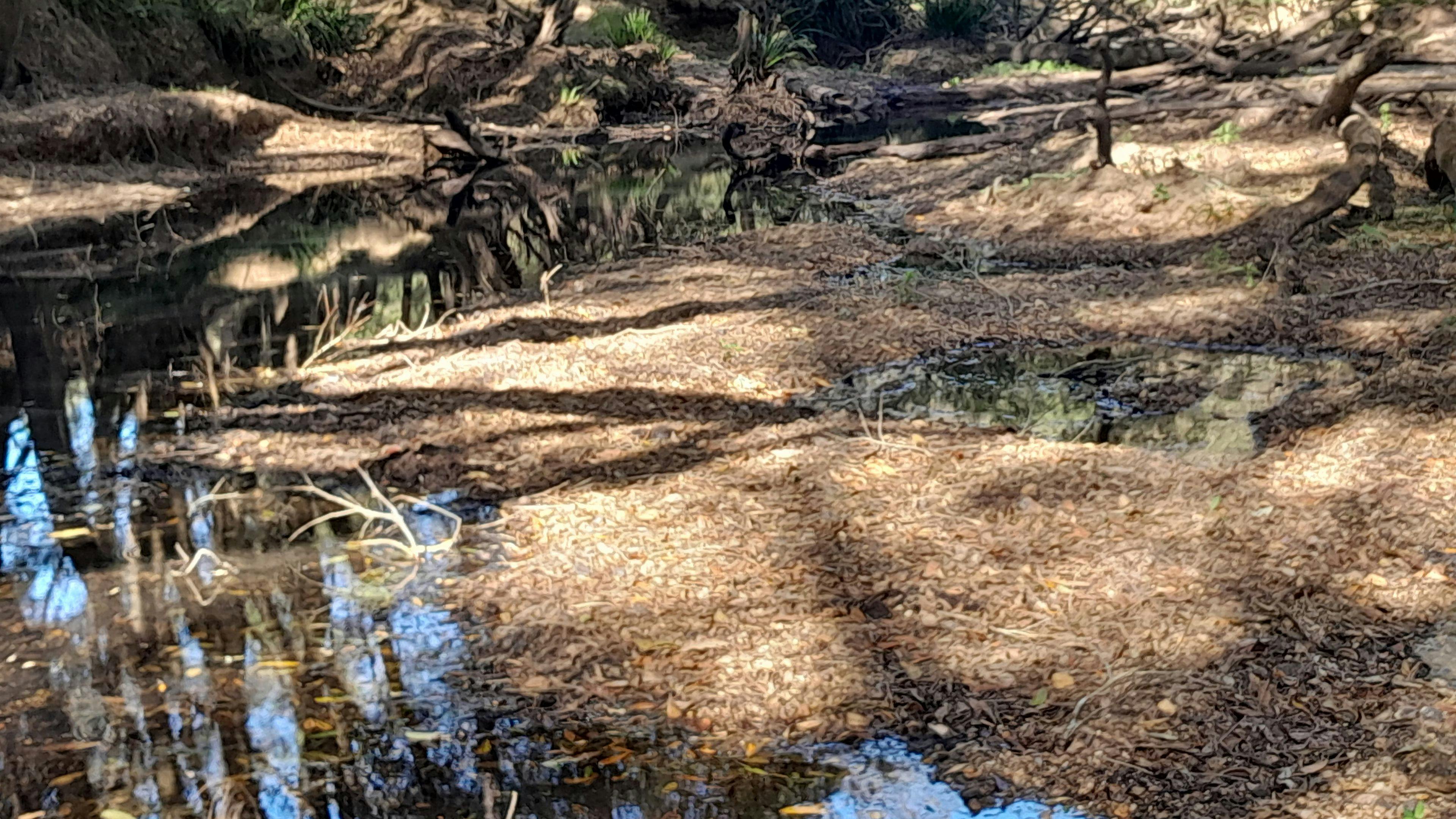 Utungen Freshwater Camp