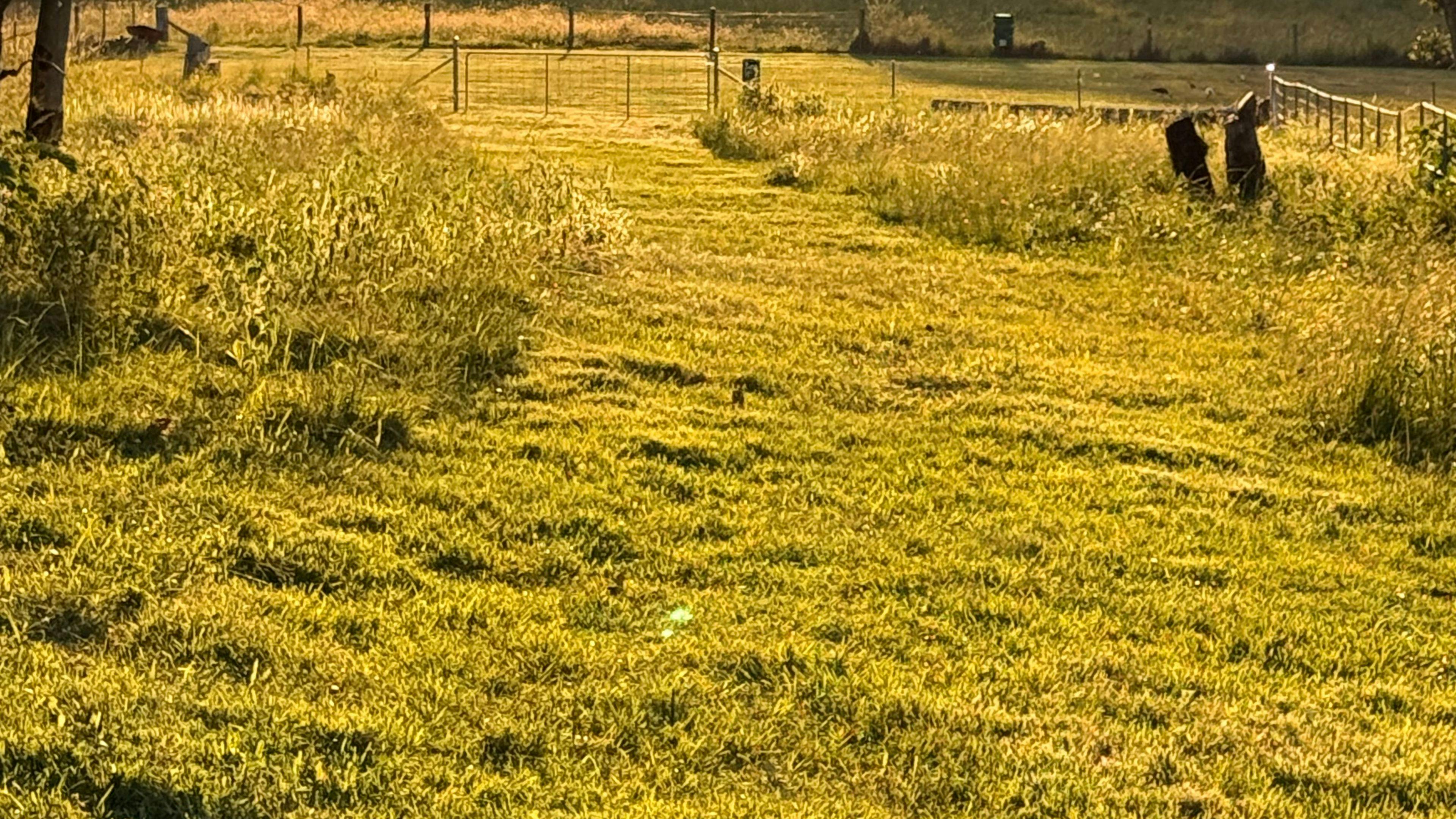 Greens Creek Country Stay