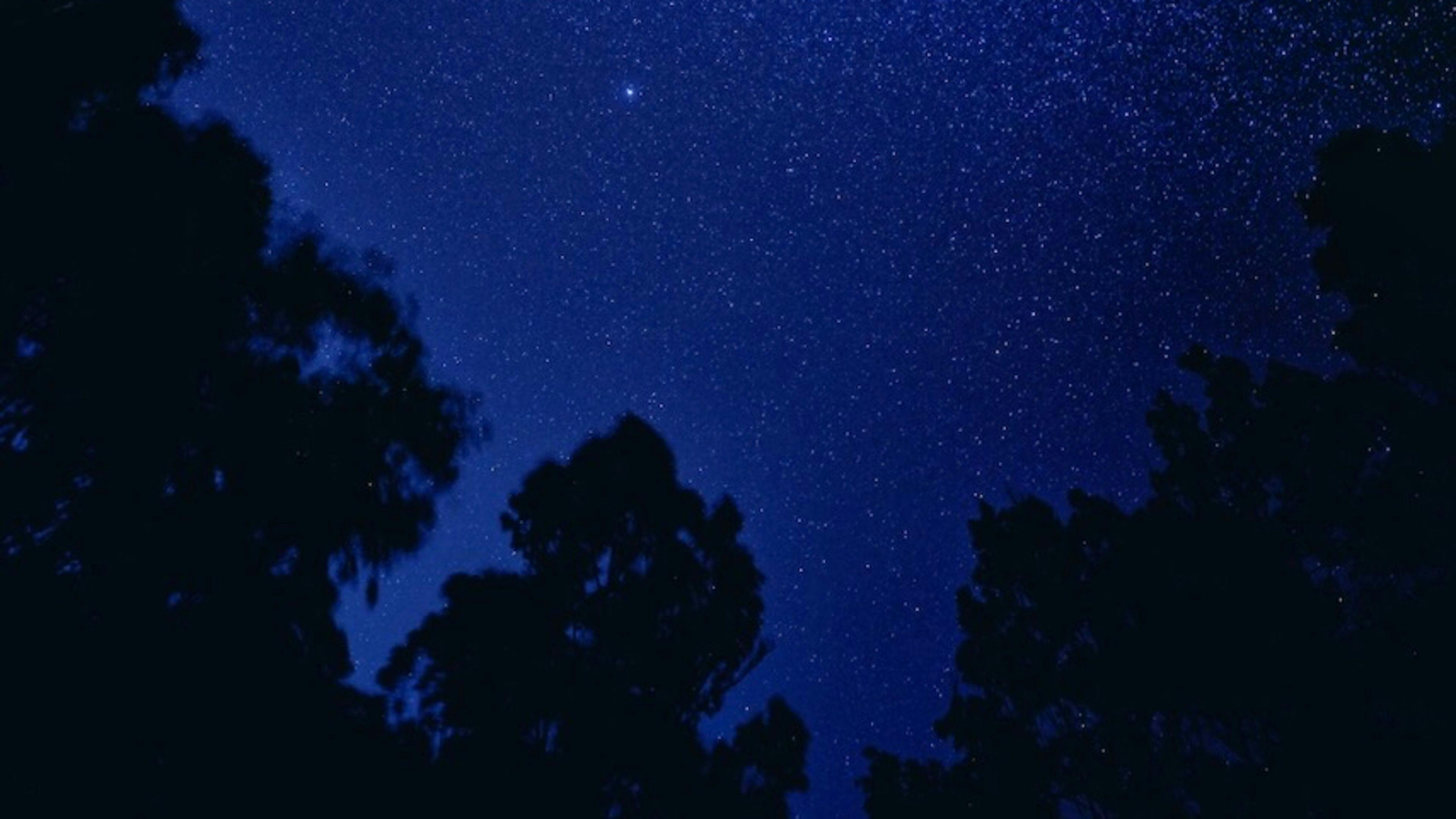 Stargazers cabin