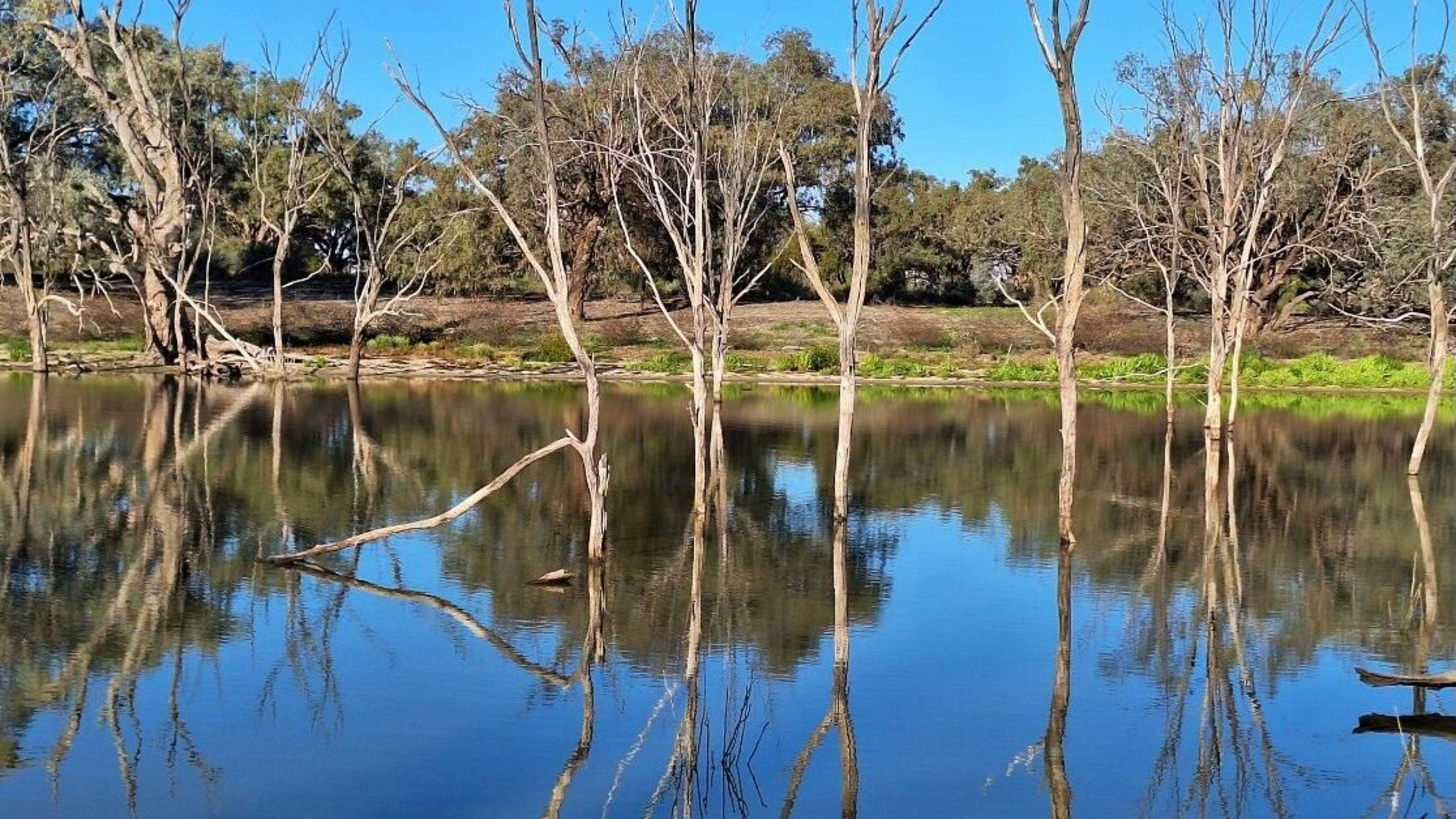 Warrawong On The Darling