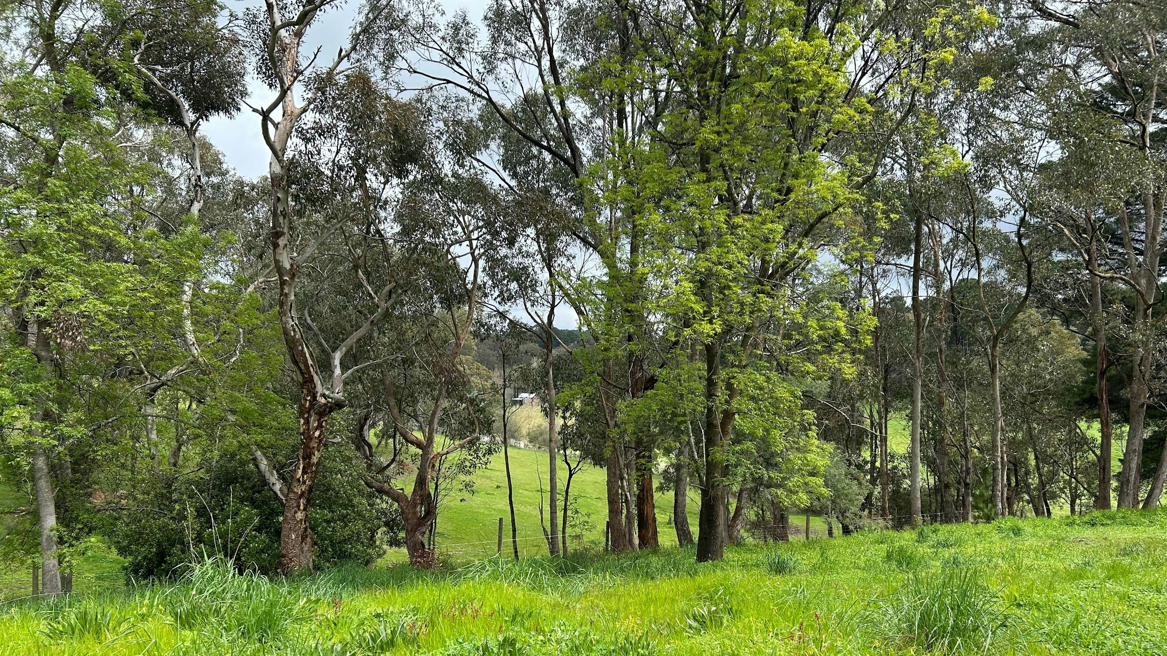 Adelaide Hills Magical Retreat