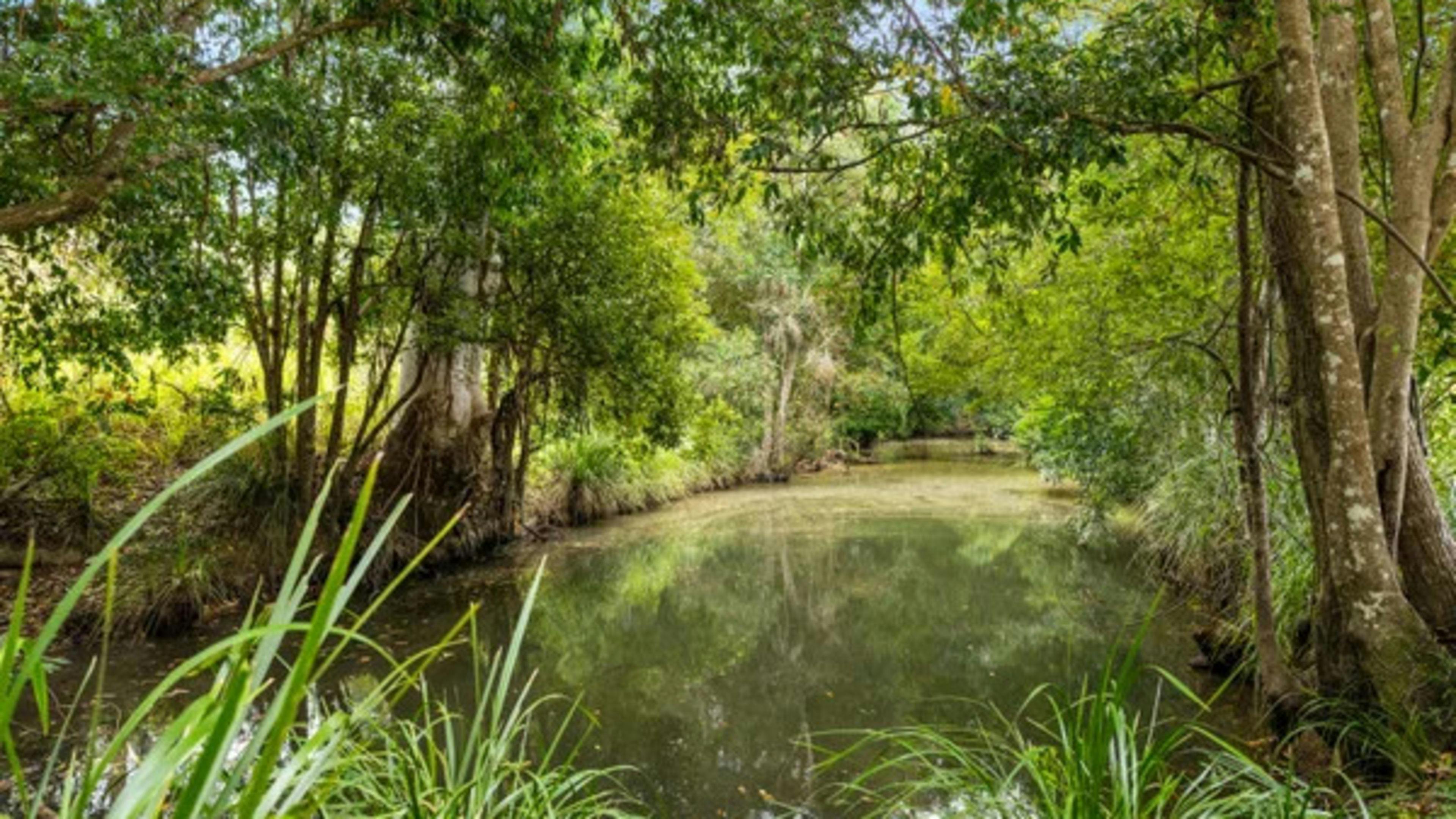 Tudd's Shady Creek Camp