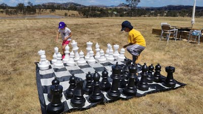 A Little Bit of Purple Farm