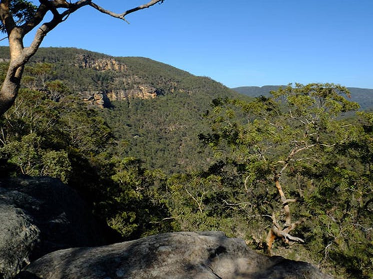 Views of lower Grose Valley gorge from Vale of Avoca lookout, Blue Mountains National Park. Photo: